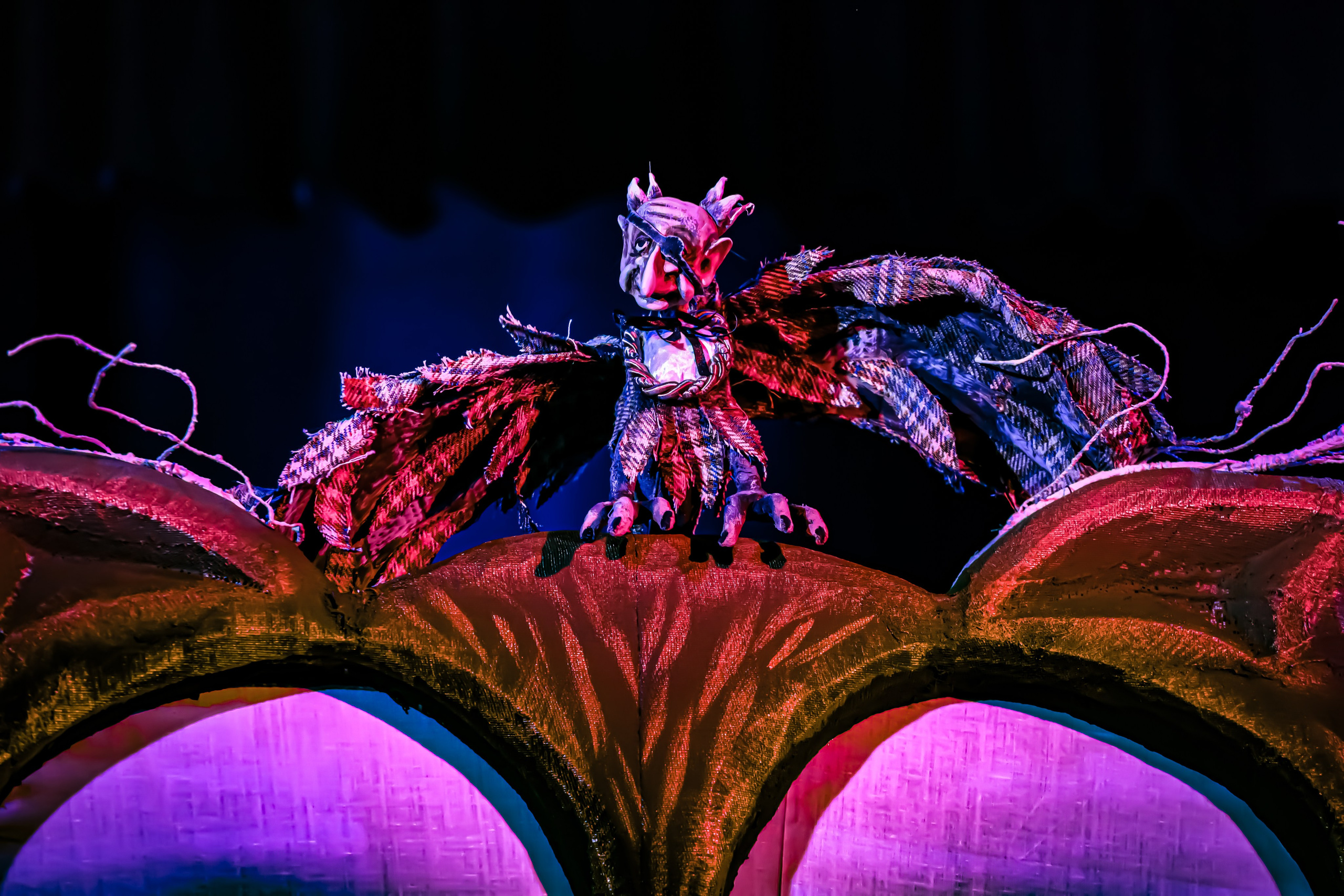 Щелкунчик и мышынный король. Фотограф в Сочи Юрий Шептаев