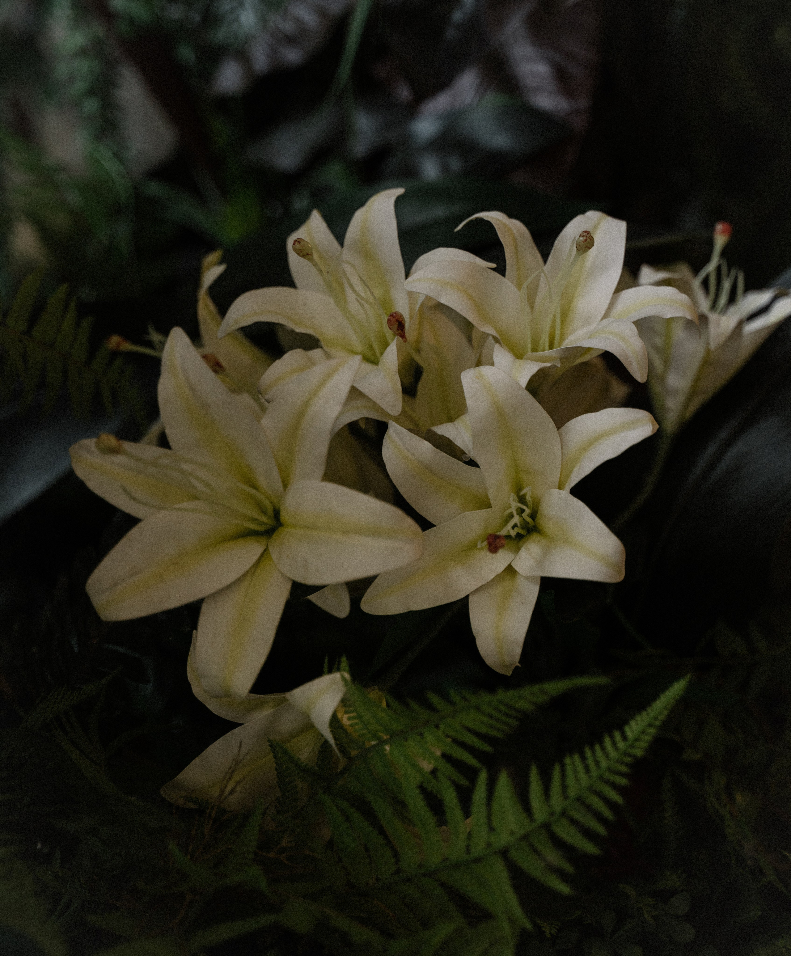 Невеста на пикнике в замке