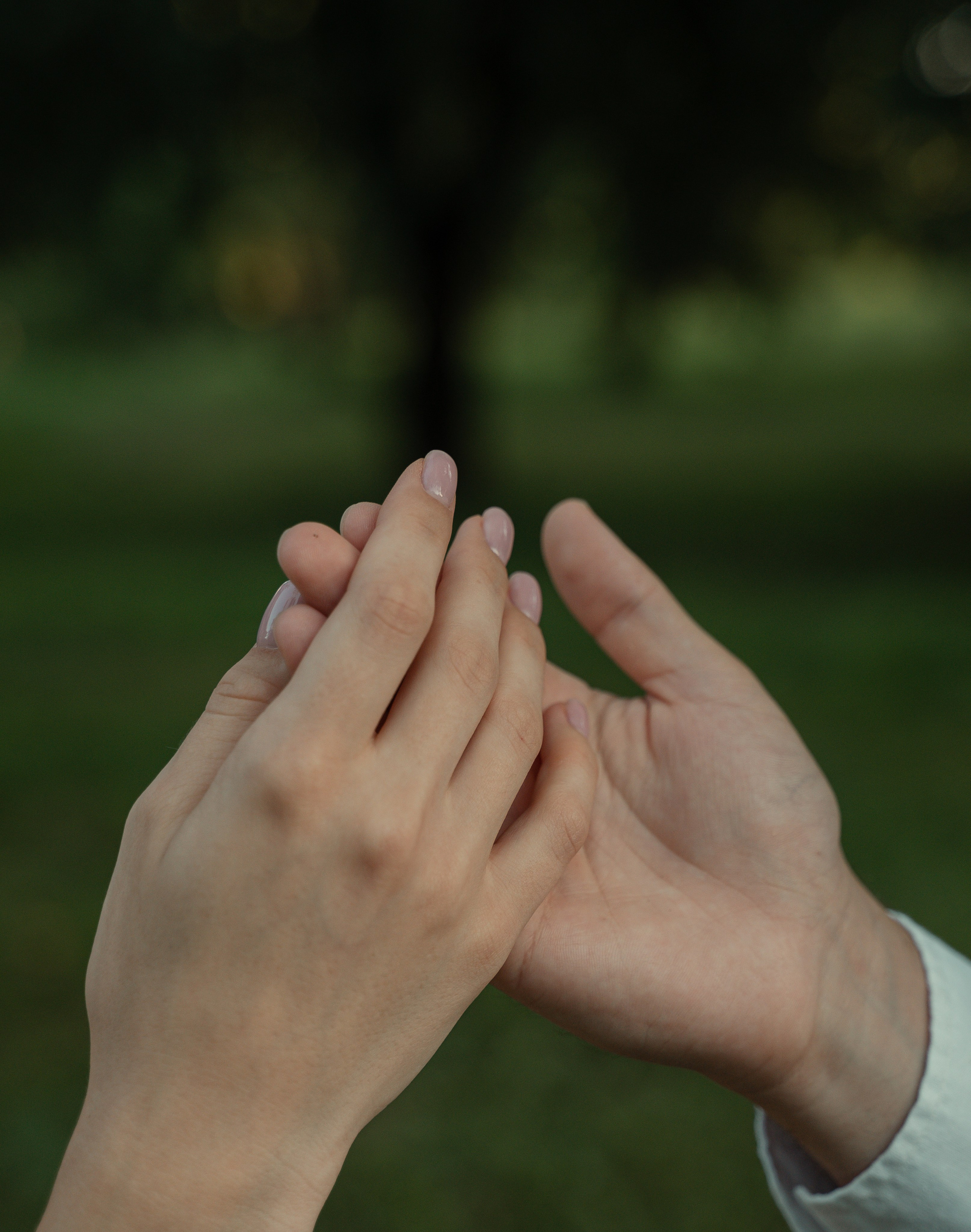 Романтический пикник