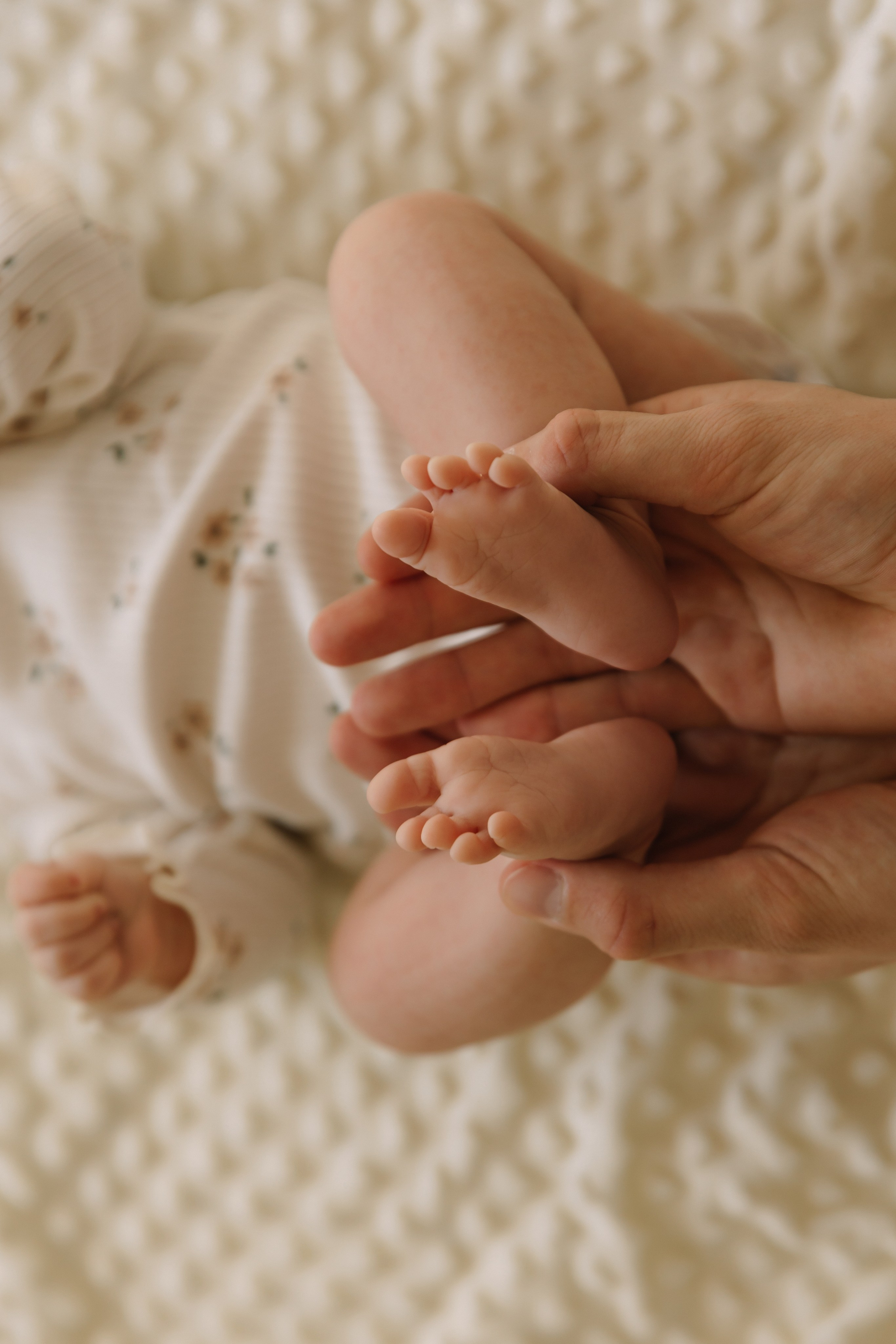 Ромашки. Свадебный и семейный фотограф в Красноярске Абраменко Настя