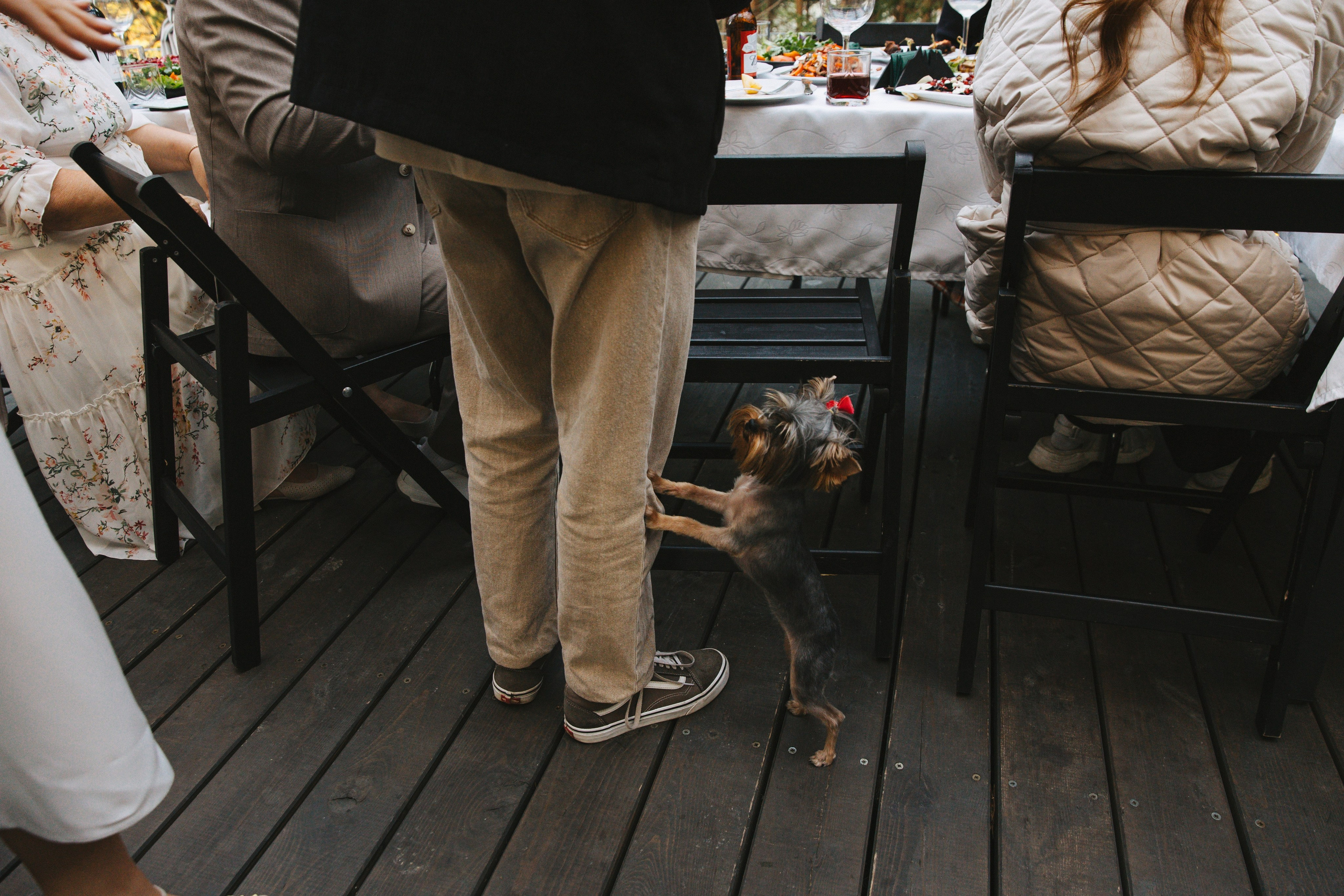 Y & A. Свадебный и семейный фотограф в Красноярске Абраменко Настя