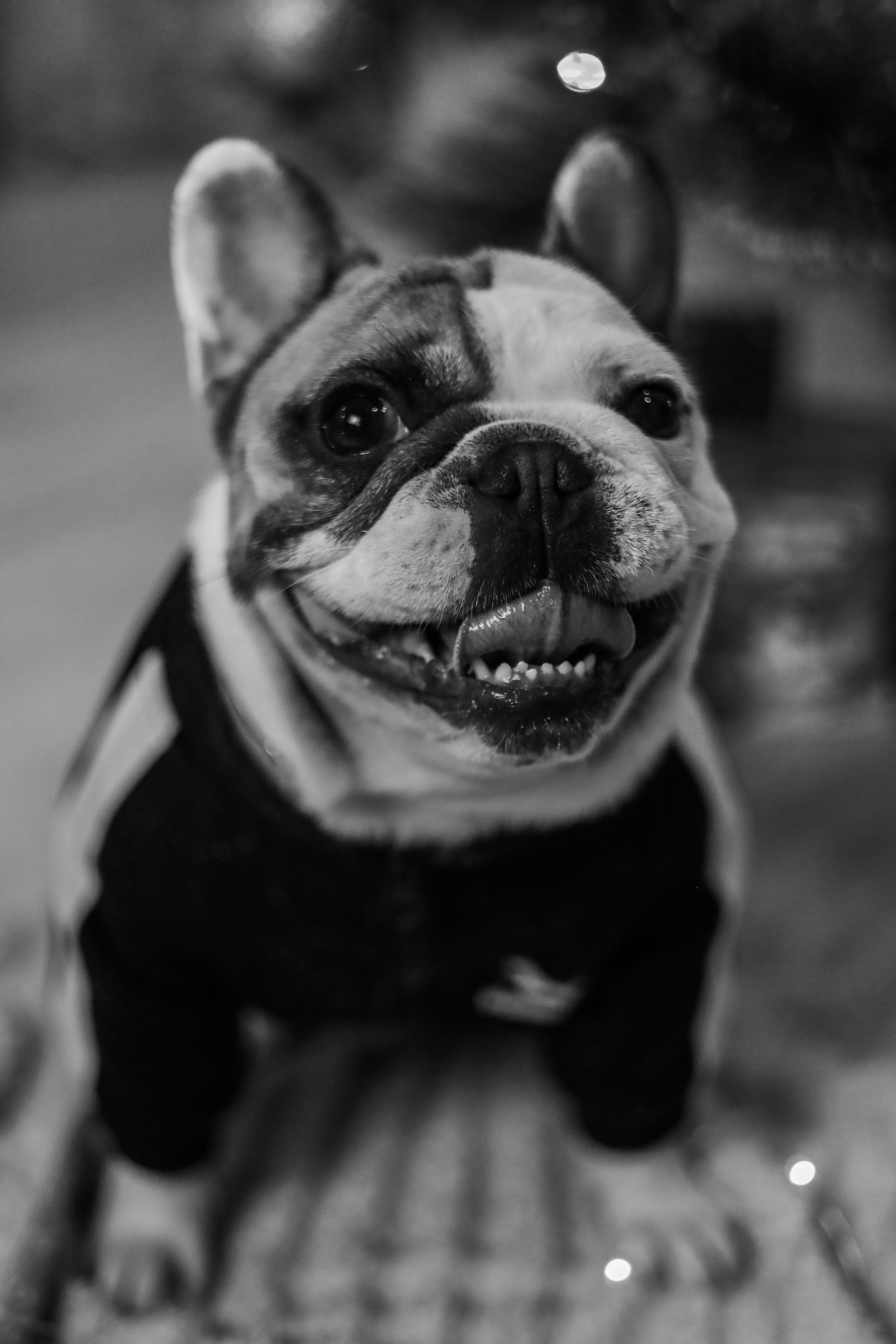 Юля, Сергей, Ричи. Фотограф Анастасия Гордовская