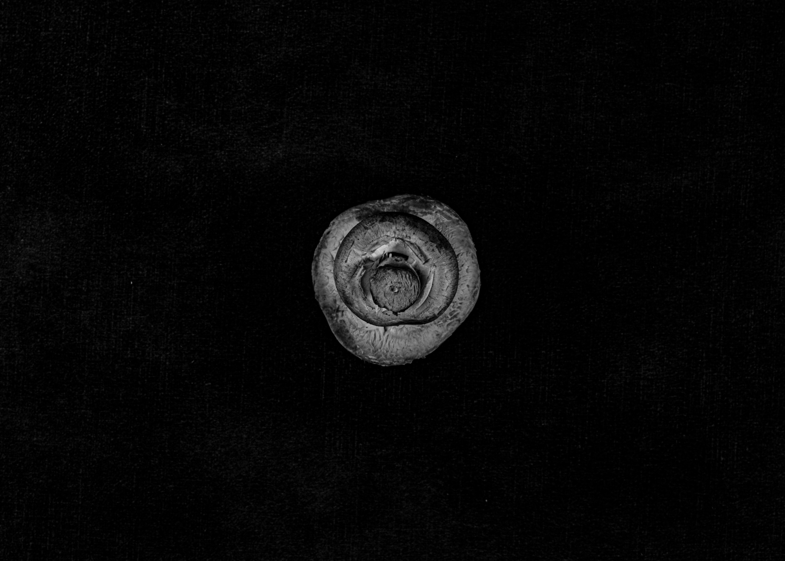 Mushrooms. Главная