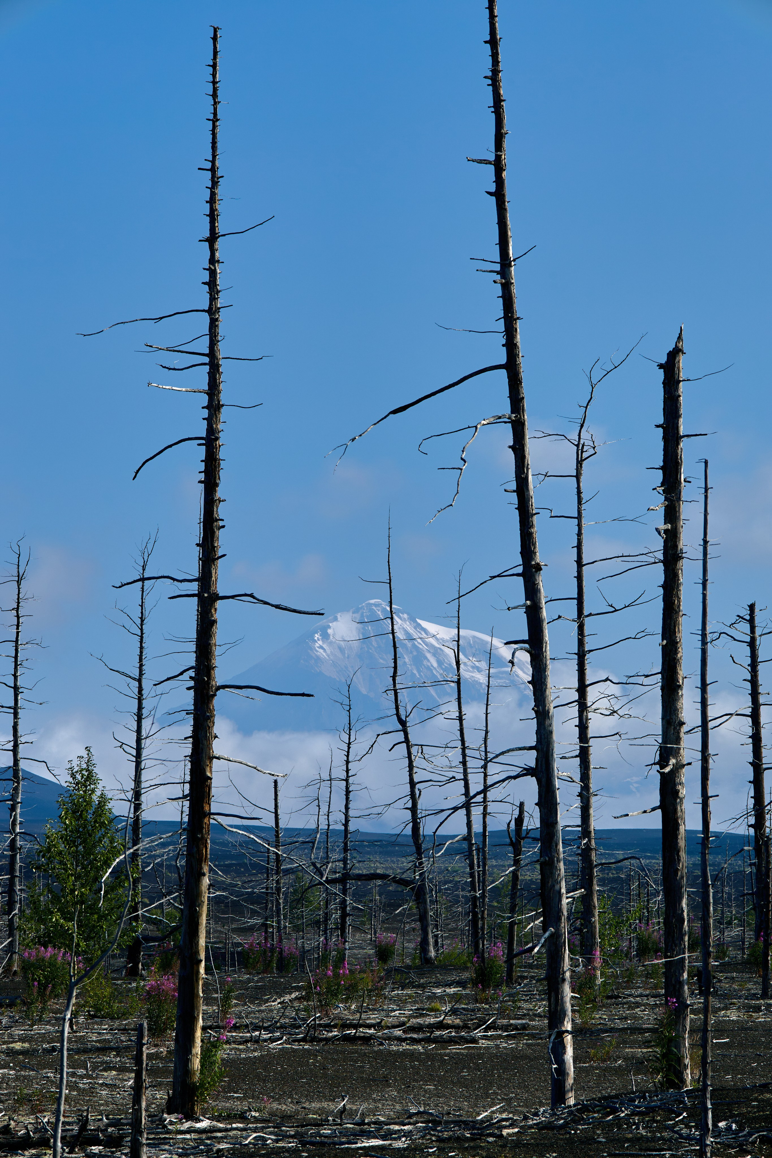 Камчатка. Travel-фотограф Ирина Милинцова