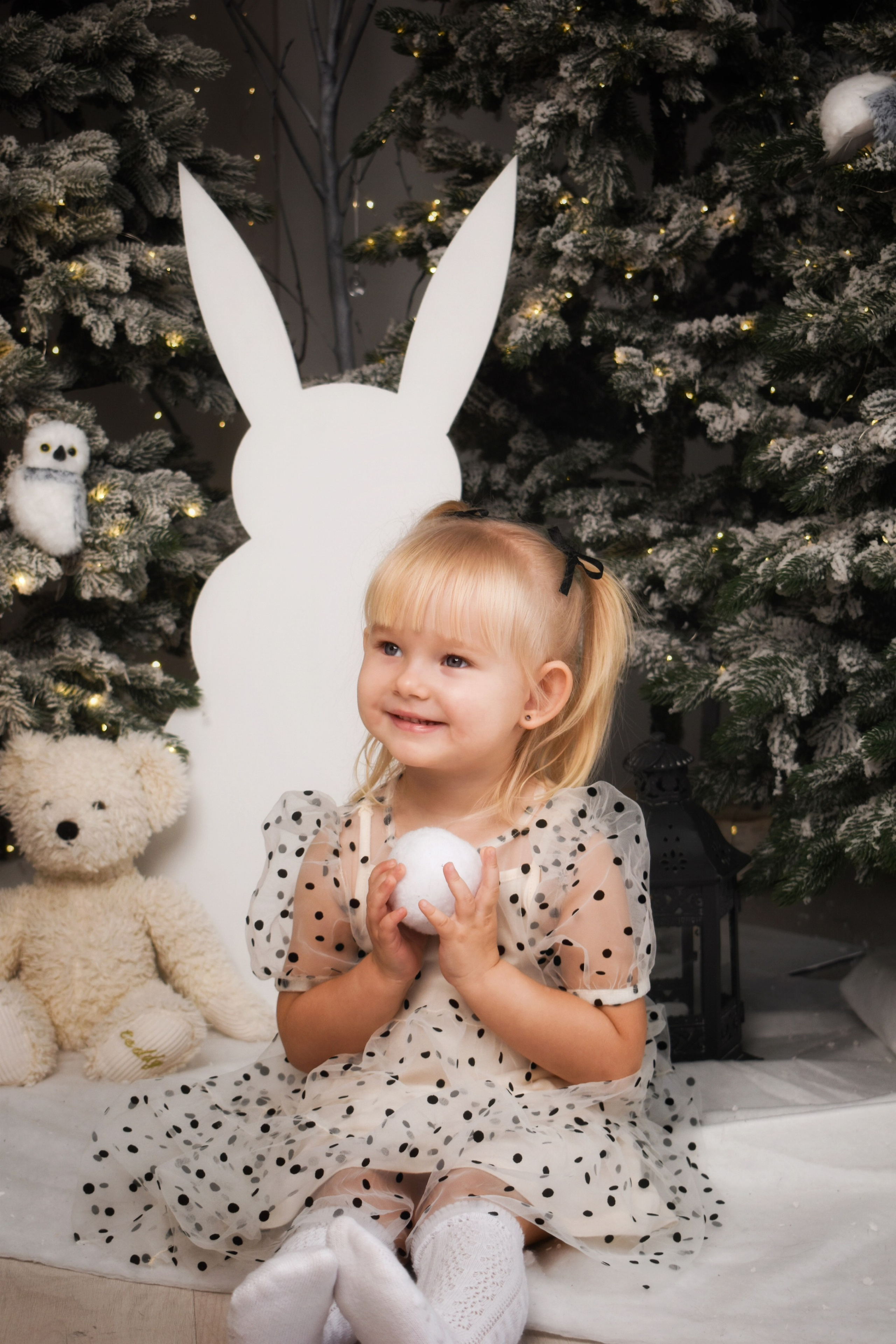 Новый Год. Семейный, детский и женский фотограф города Барнаул Кудаева Анастасия