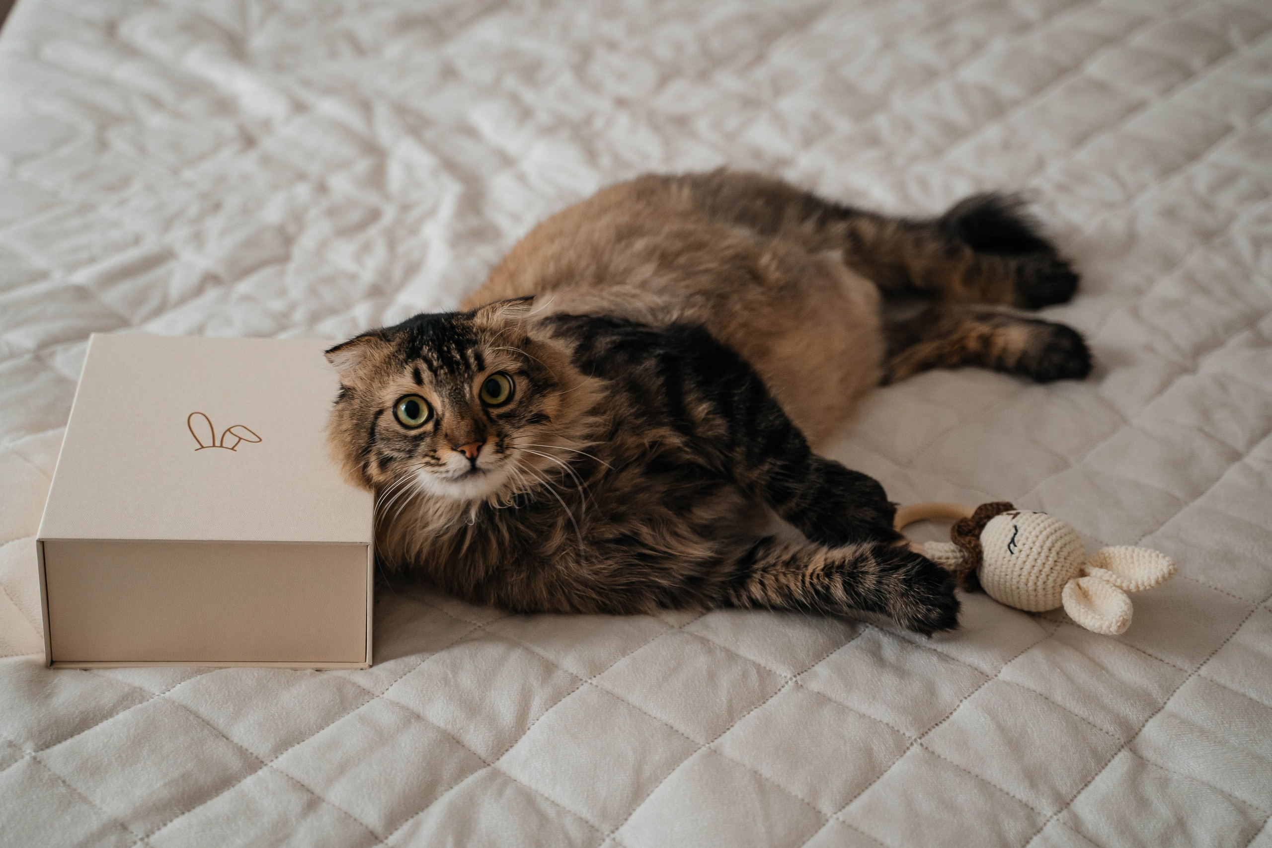 Семья Шунтовых. Свадебный и семейный фотограф