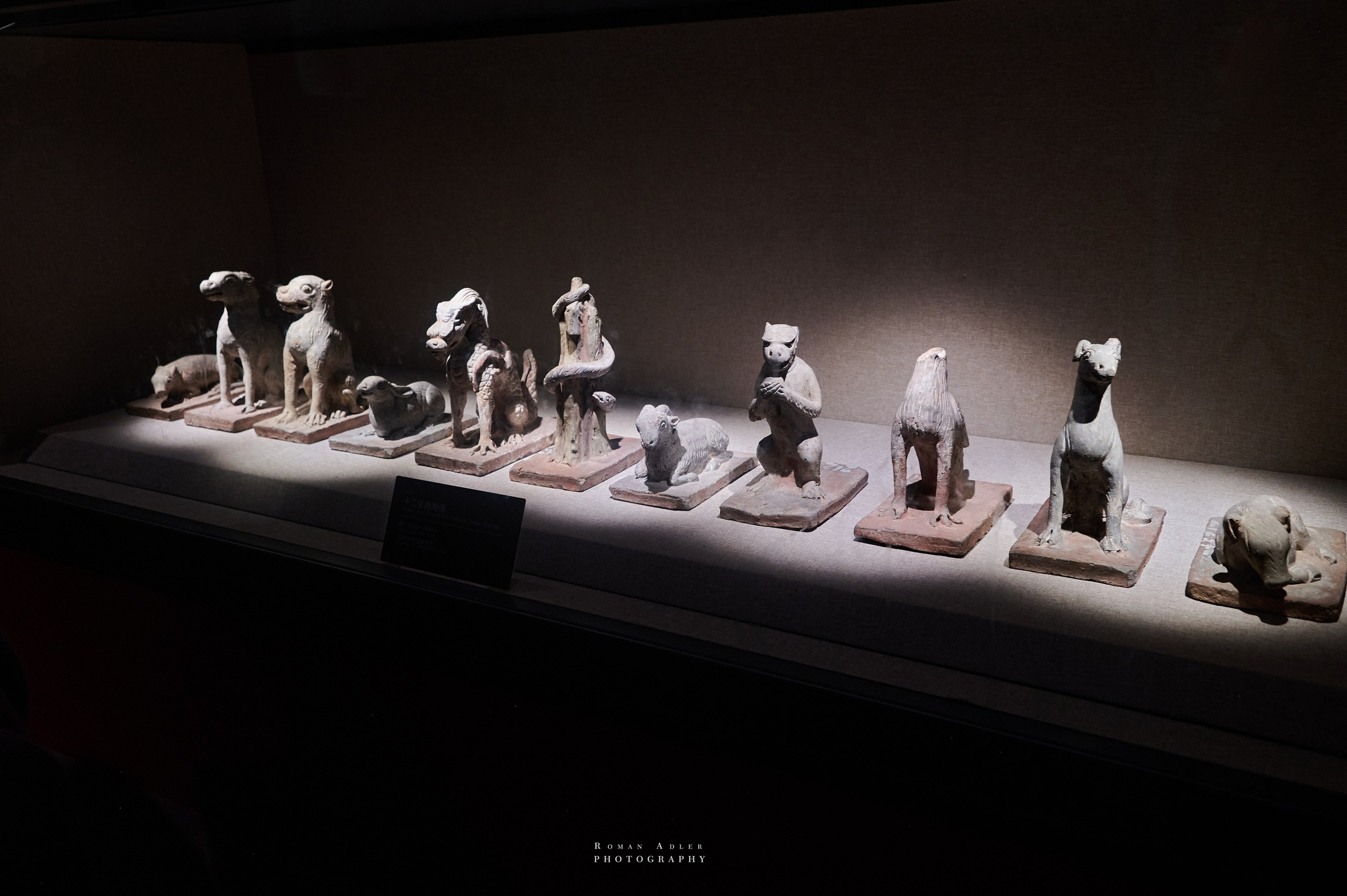 Национальный краеведческий музей Цинчжоу. Фотограф Роман Адлер