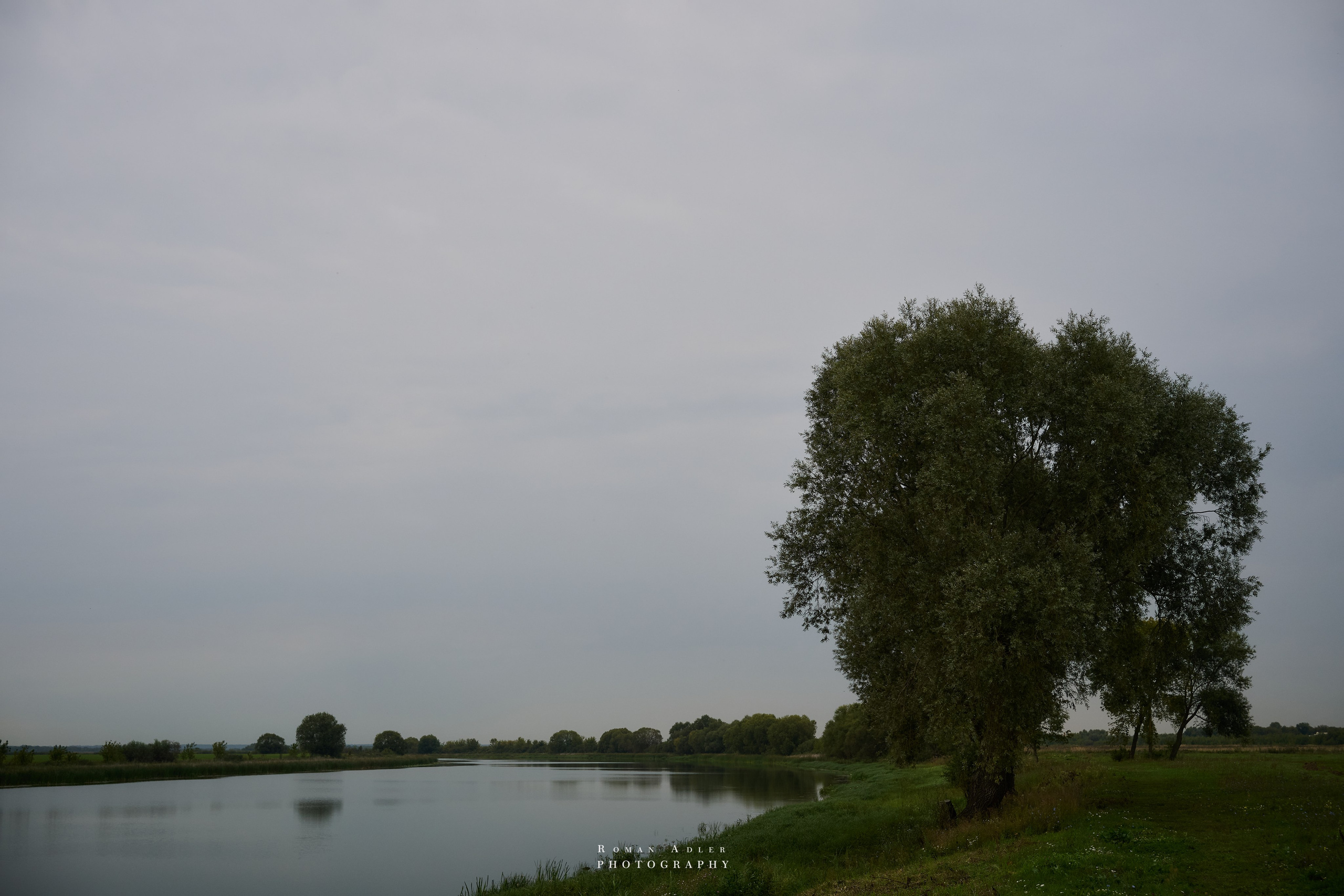 Рязань. Август 2025. Фотограф Роман Адлер