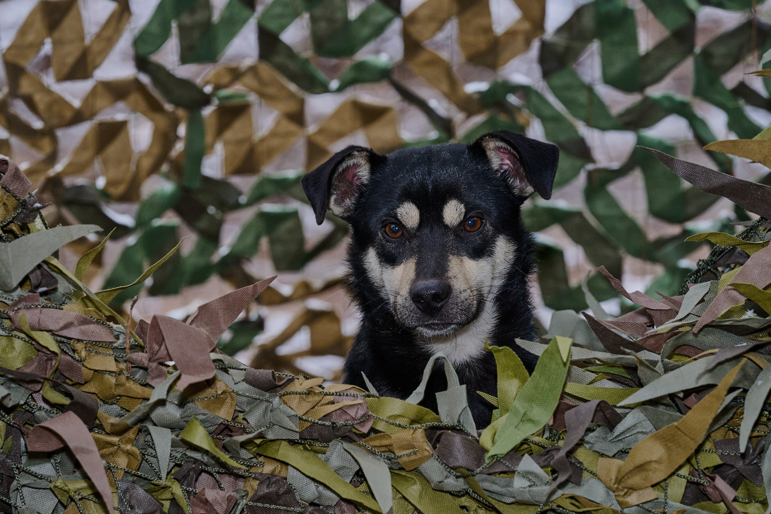 Будни съёмок фотопроекта Территории. Фотограф Роман Адлер