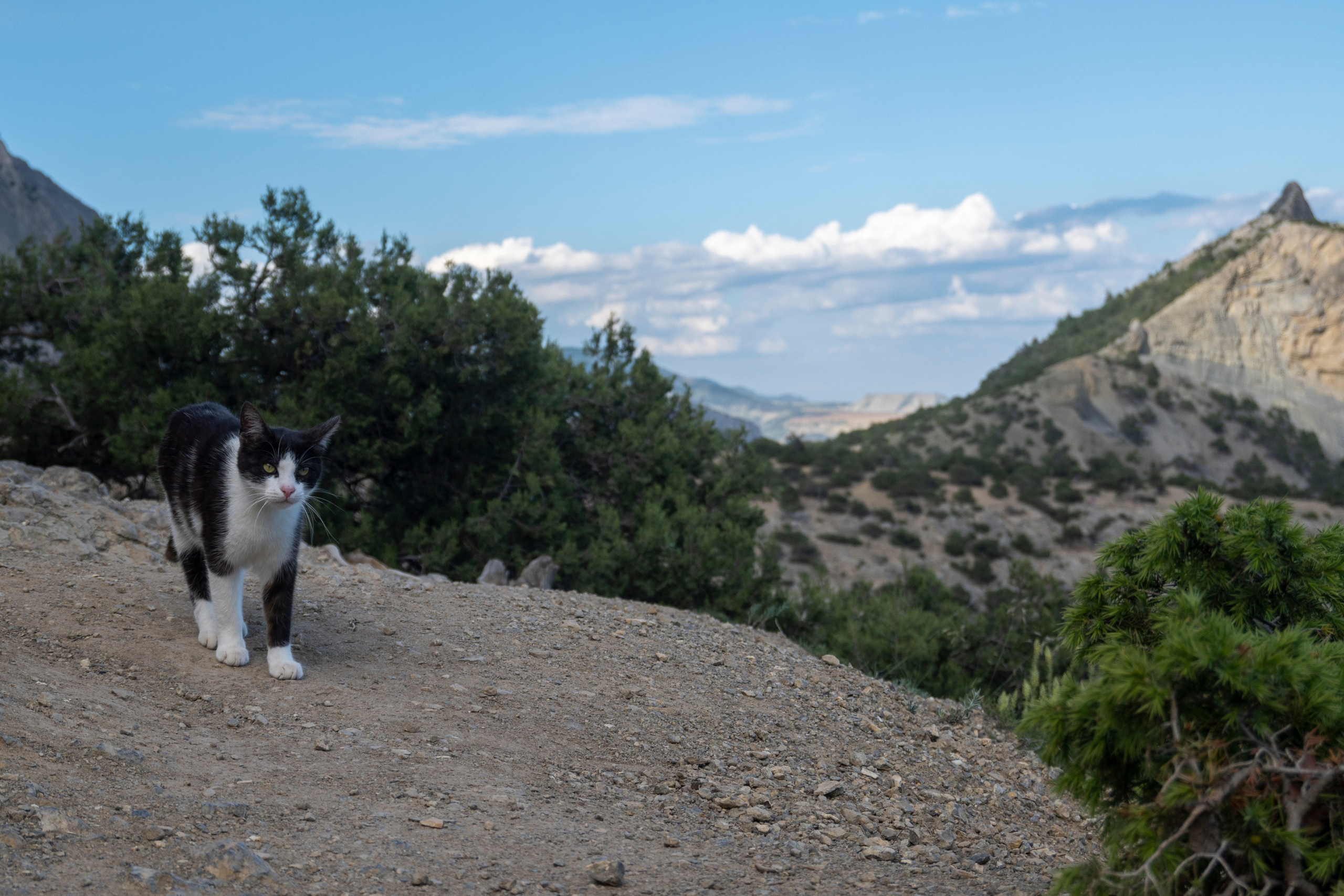 Крым май 2022. Фотограф Роман Адлер