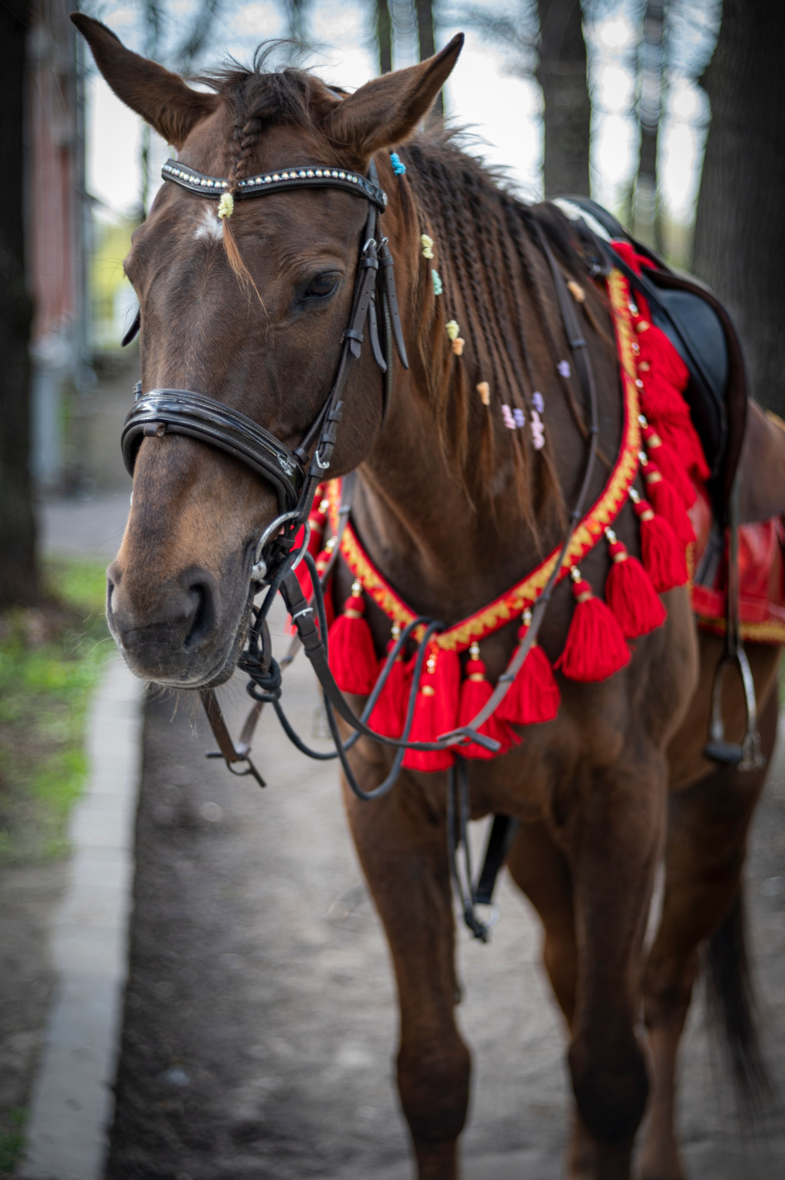 Рязань. Май 2022. Фотограф Роман Адлер
