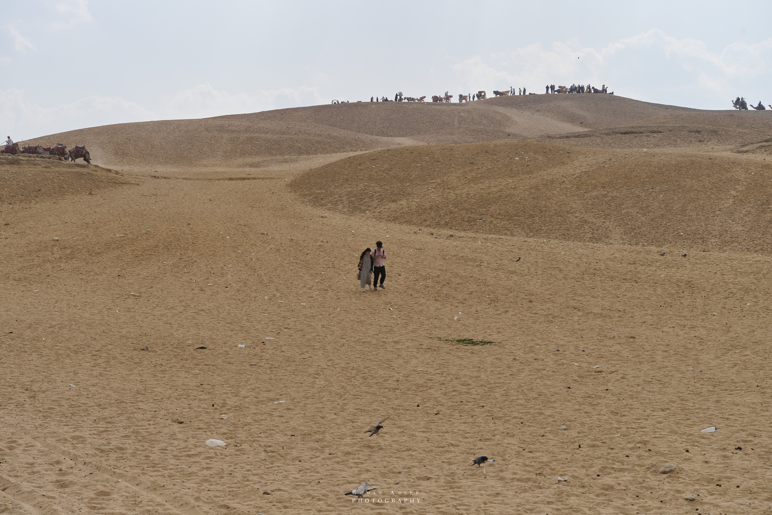 Гиза (Мемфис). Февраль 2025. Фотограф Роман Адлер
