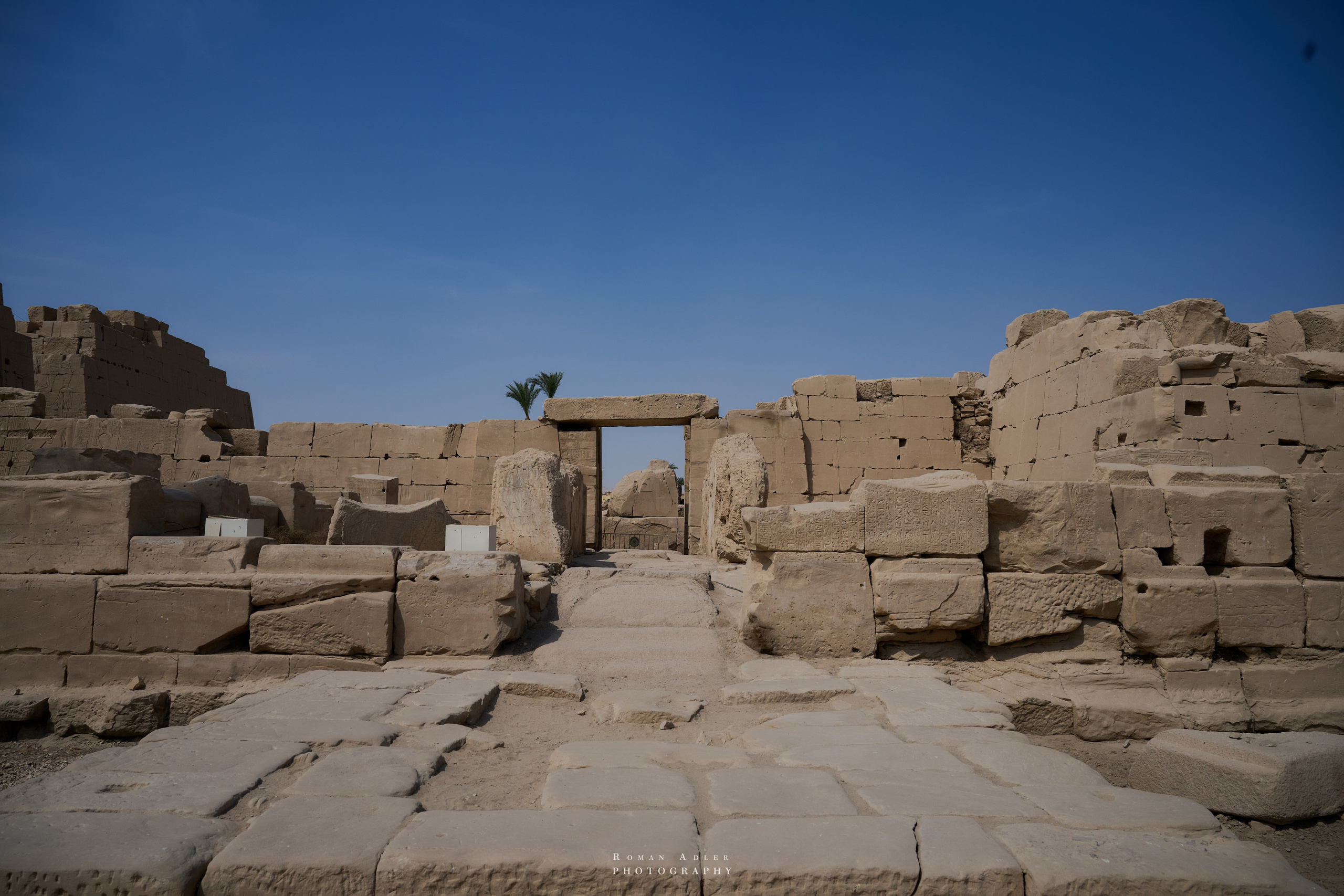 Луксор. Февраль 2025. Фотограф Роман Адлер