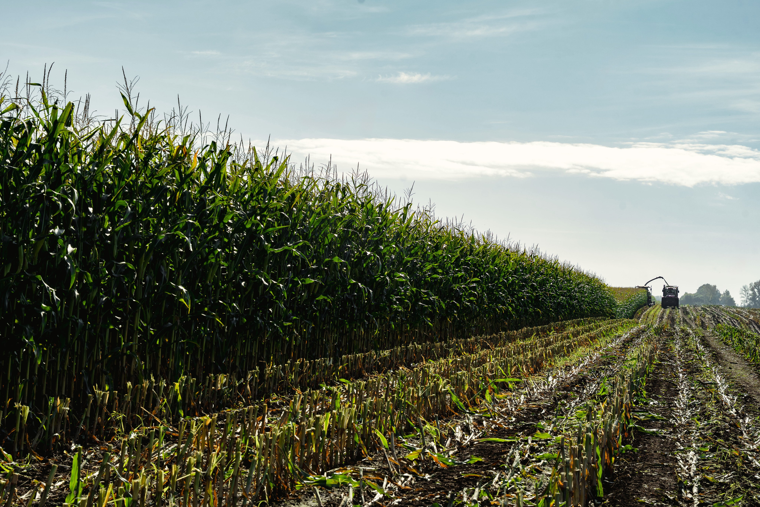Коммерция. Портретный и событийный фотограф в Барнауле, Москве, Новосибирске