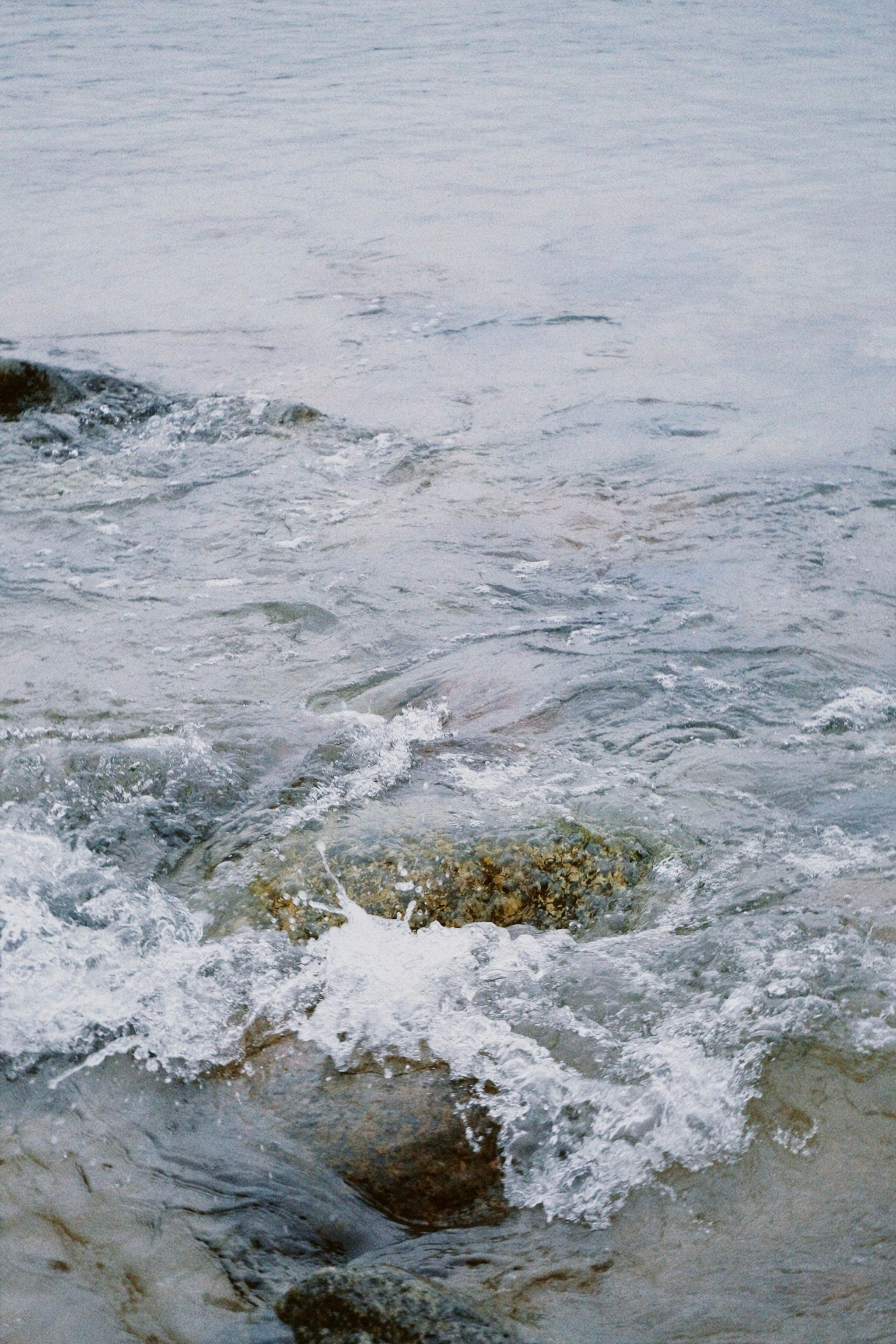 Калининград. Татьян гертье