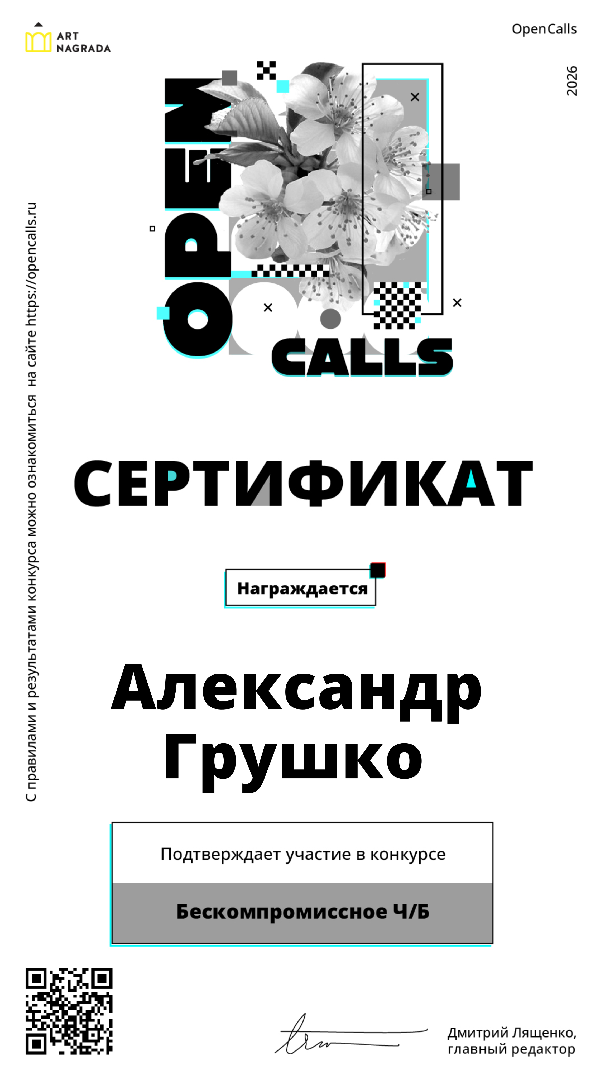 Дипломы/Сетрификаты. Фотограф в Санкт-Петербурге Александр Грушко