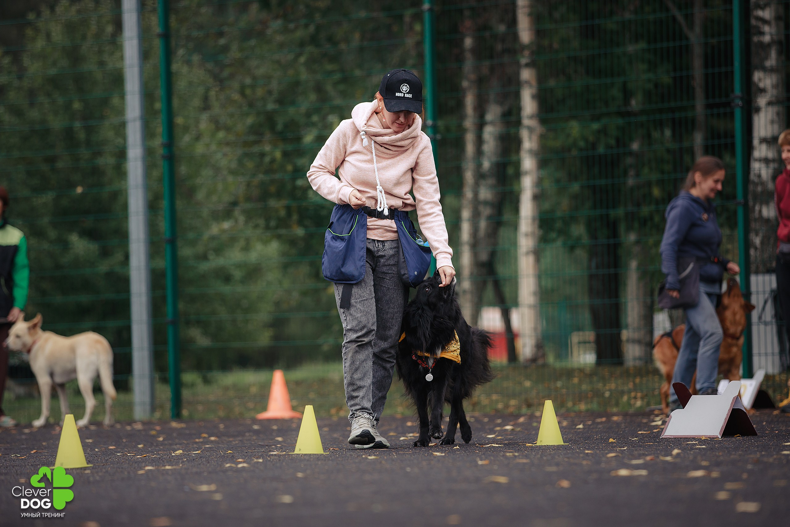 Кинологический лагерь CleverDog, 2024. Фотограф-анималист Mary Mart — Москва, Питер