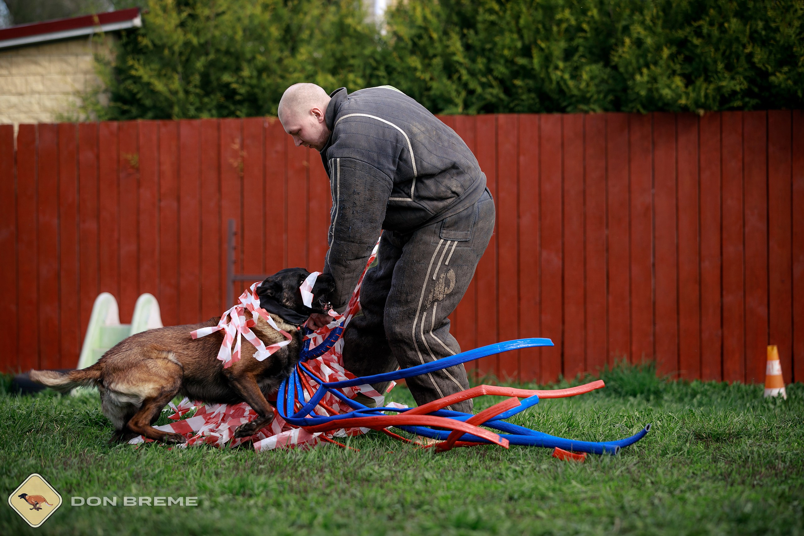 Семинар для фигурантов, день 2. Фотограф-анималист Mary Mart — Москва, Питер