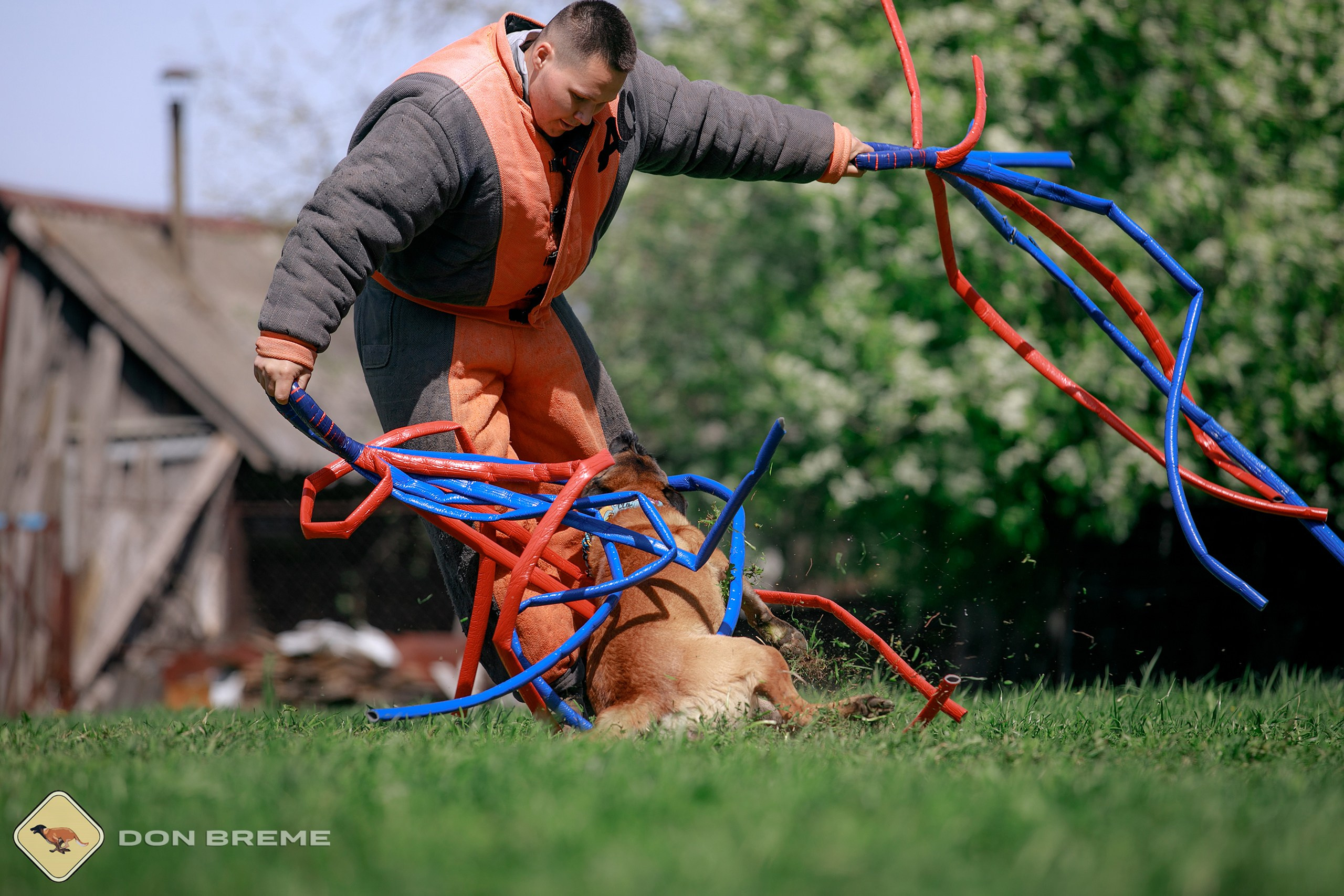 Семинар для фигурантов, день 4. Фотограф-анималист Mary Mart — Москва, Питер