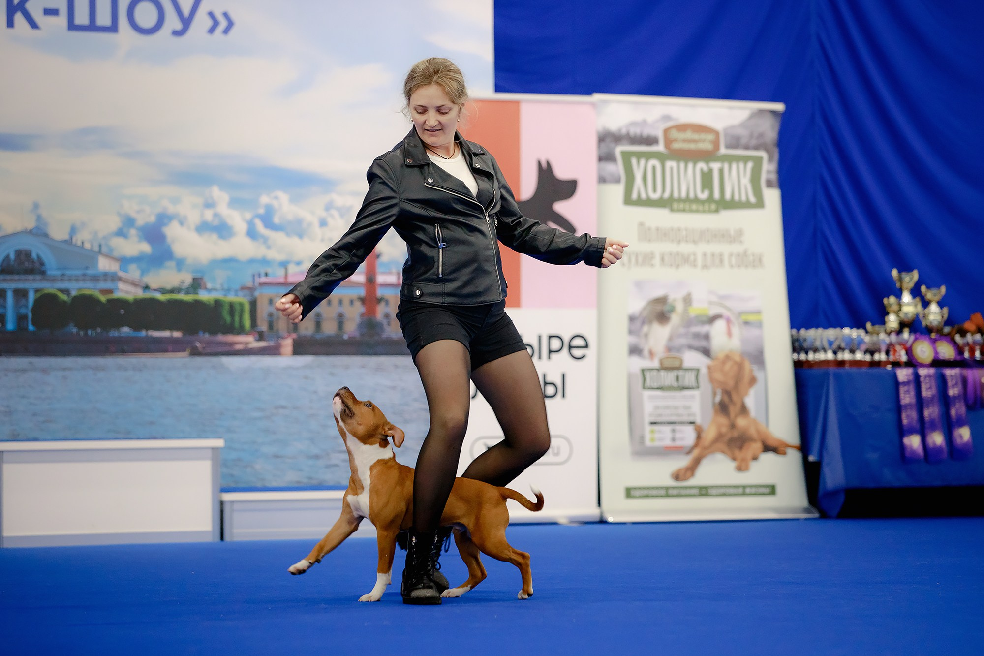 Танцы на выставке «Зоошоу», СПб. Фотограф-анималист Mary Mart — Москва, Питер