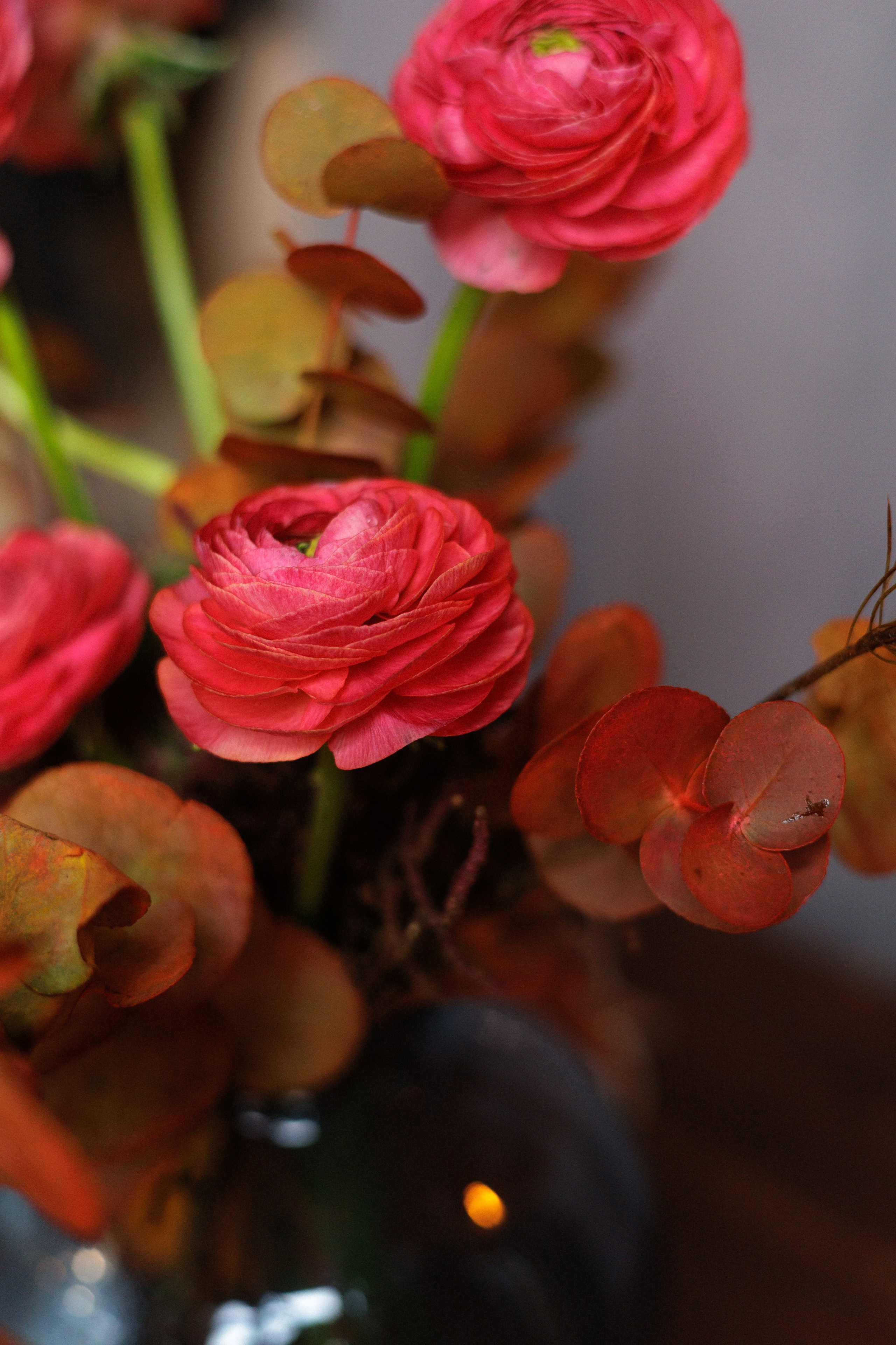 Pole buro |flowers. Орлова Мария фотограф Волгоград, Камышин