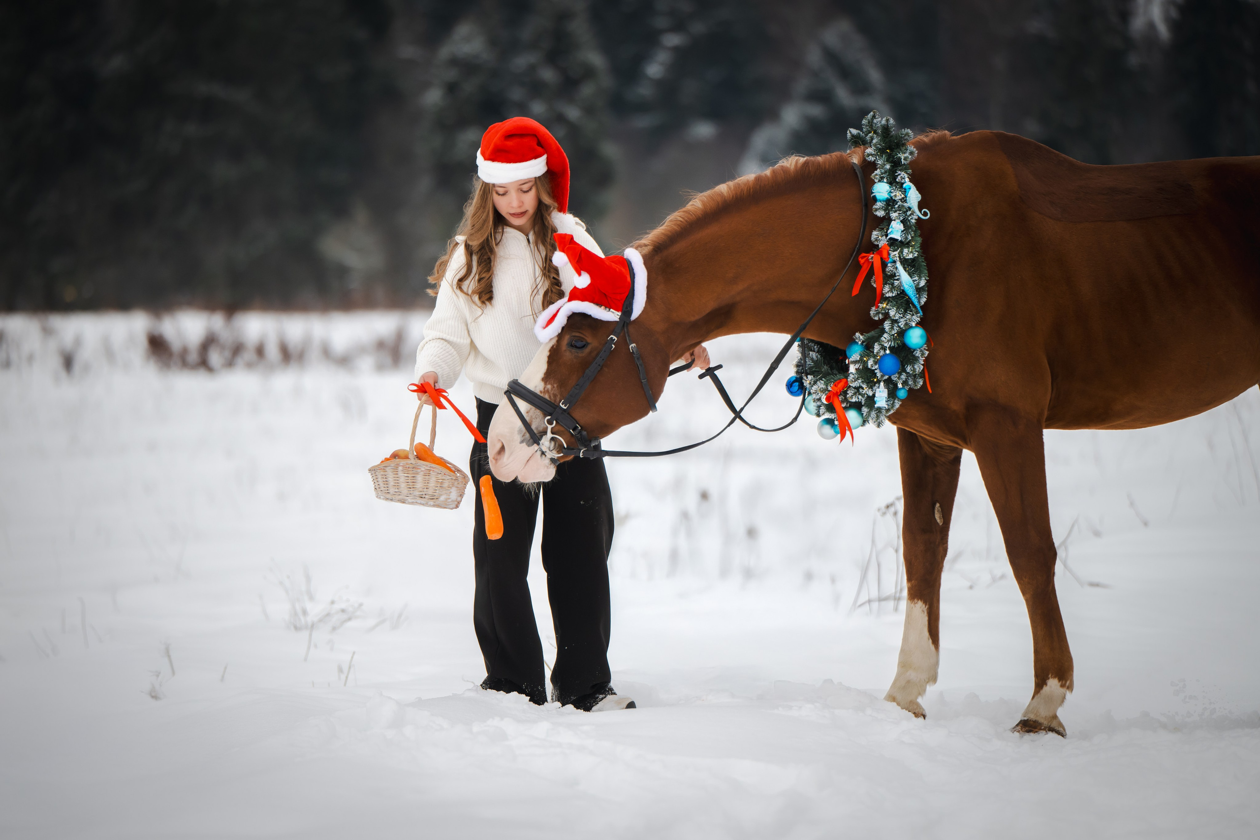 Виктория и Лео. Фотограф Анималист в Москве Анастасия Жучкова