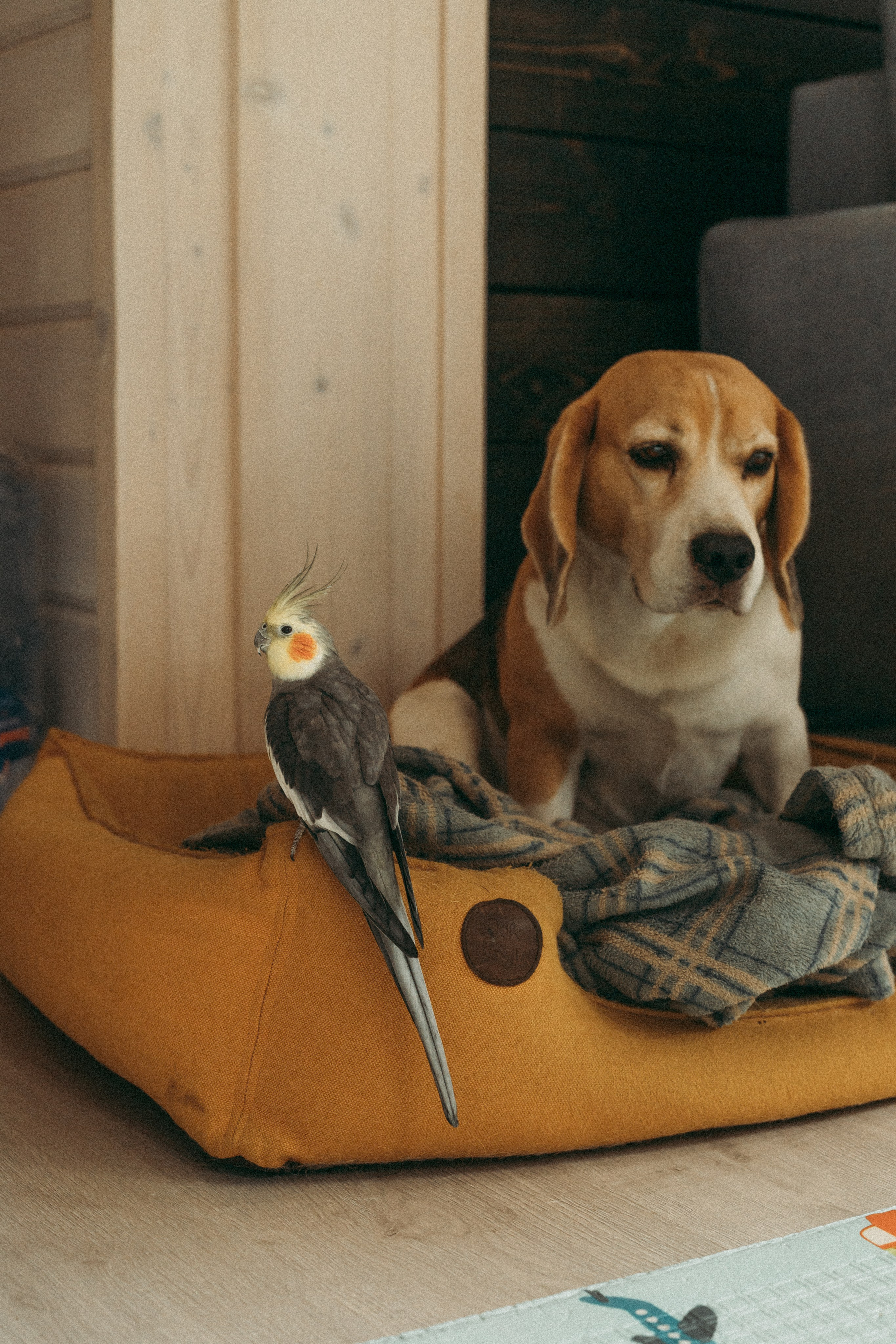 Семейное. Фотограф Москва и Санкт-Петербург