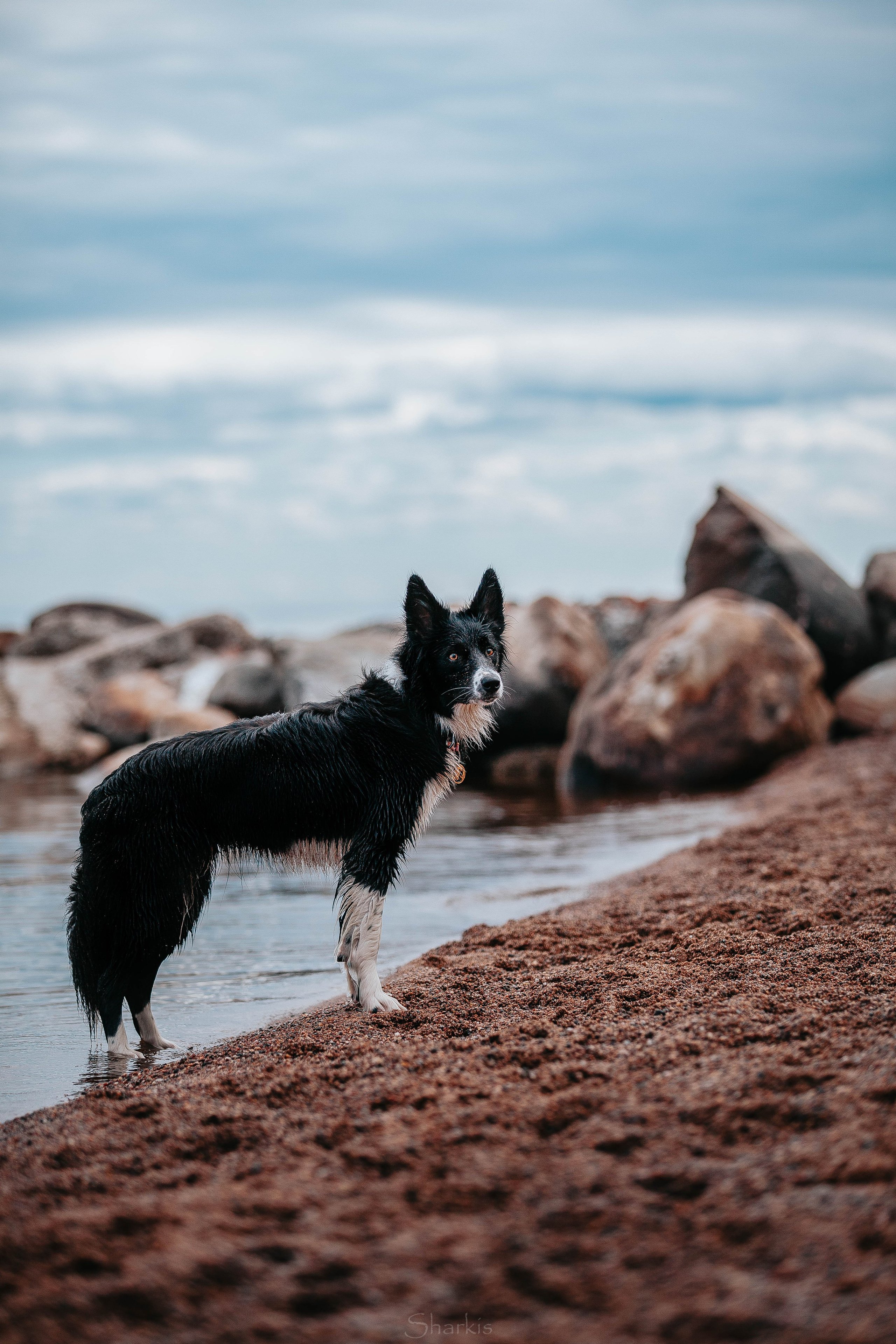 Кида и Сирша. Главная
