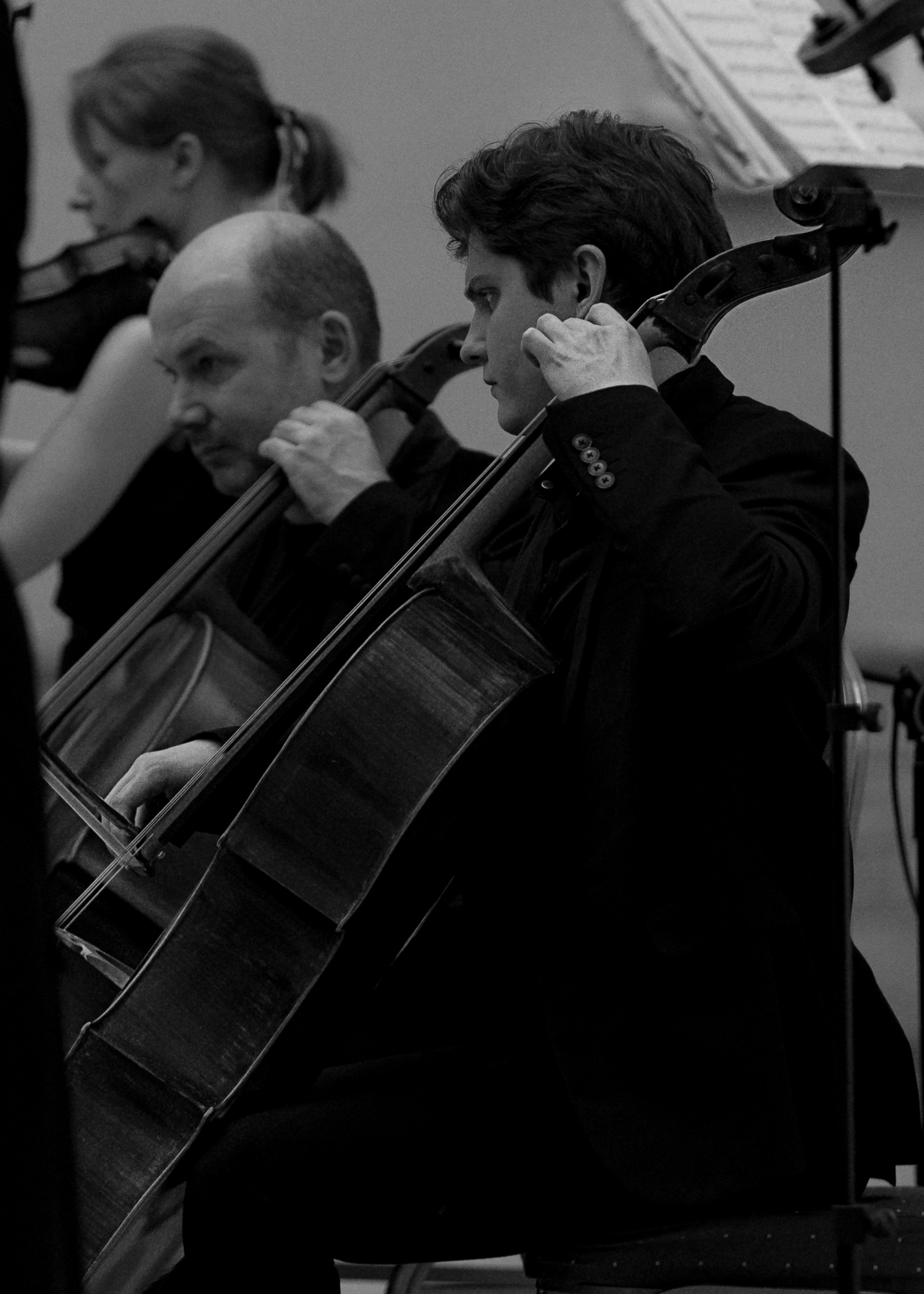 The State Hermitage Museum. Divertissement Chamber Orchestra. Фотограф Ирина Соколенко Санкт-Петербург