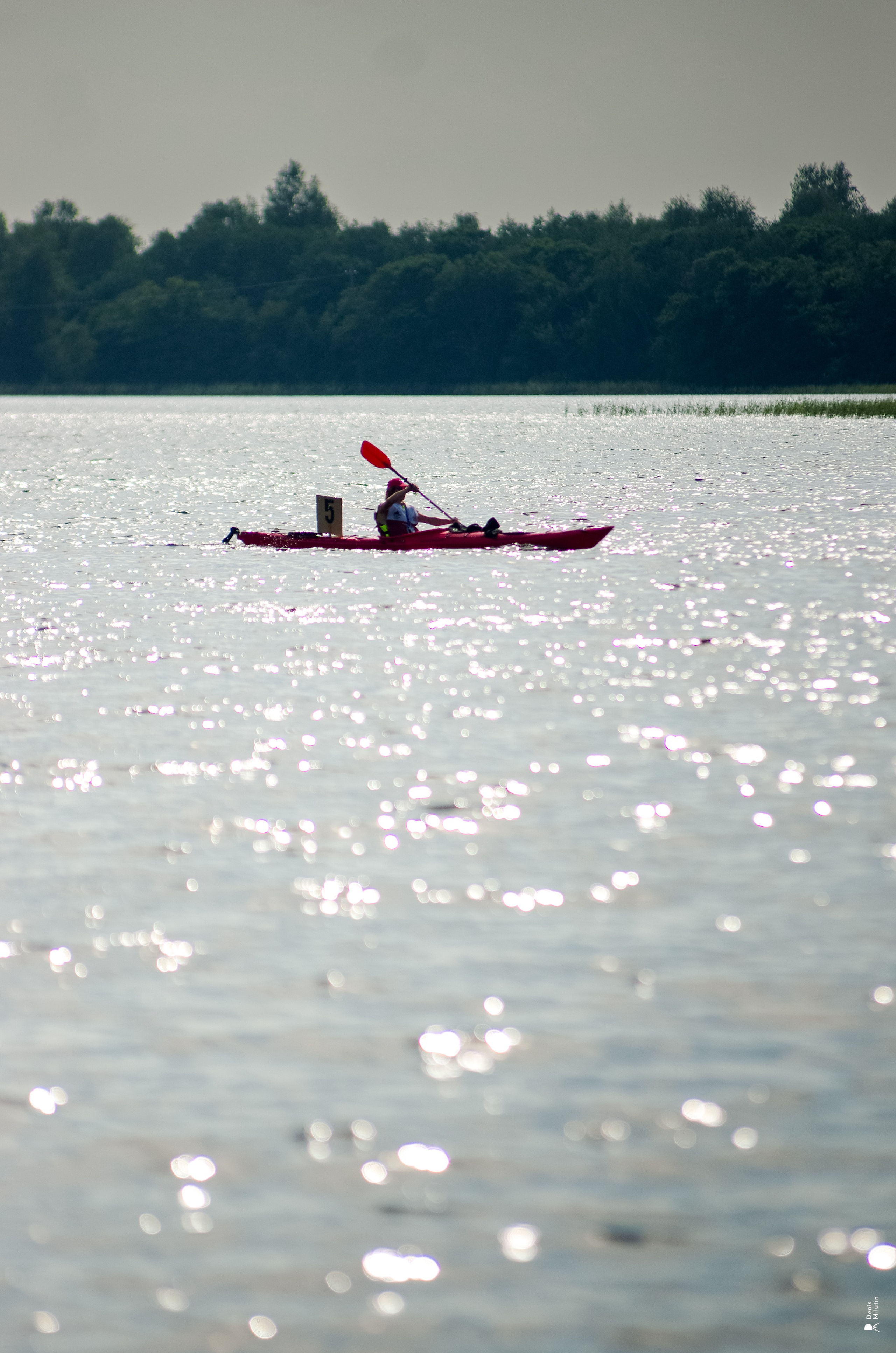 Кижская регата 2025. Портретный фотограф Денис Милютин