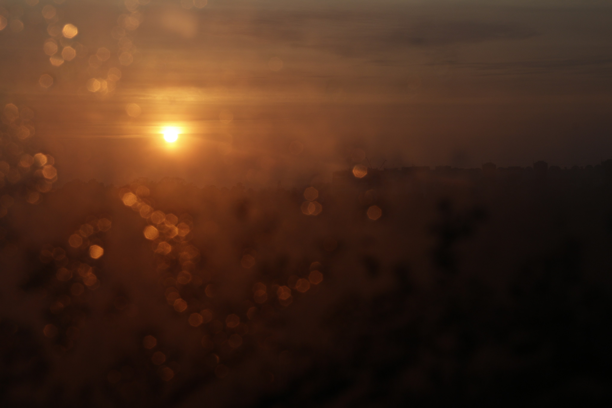 Пища для глаз. Ваш фотограф Северск | Томск