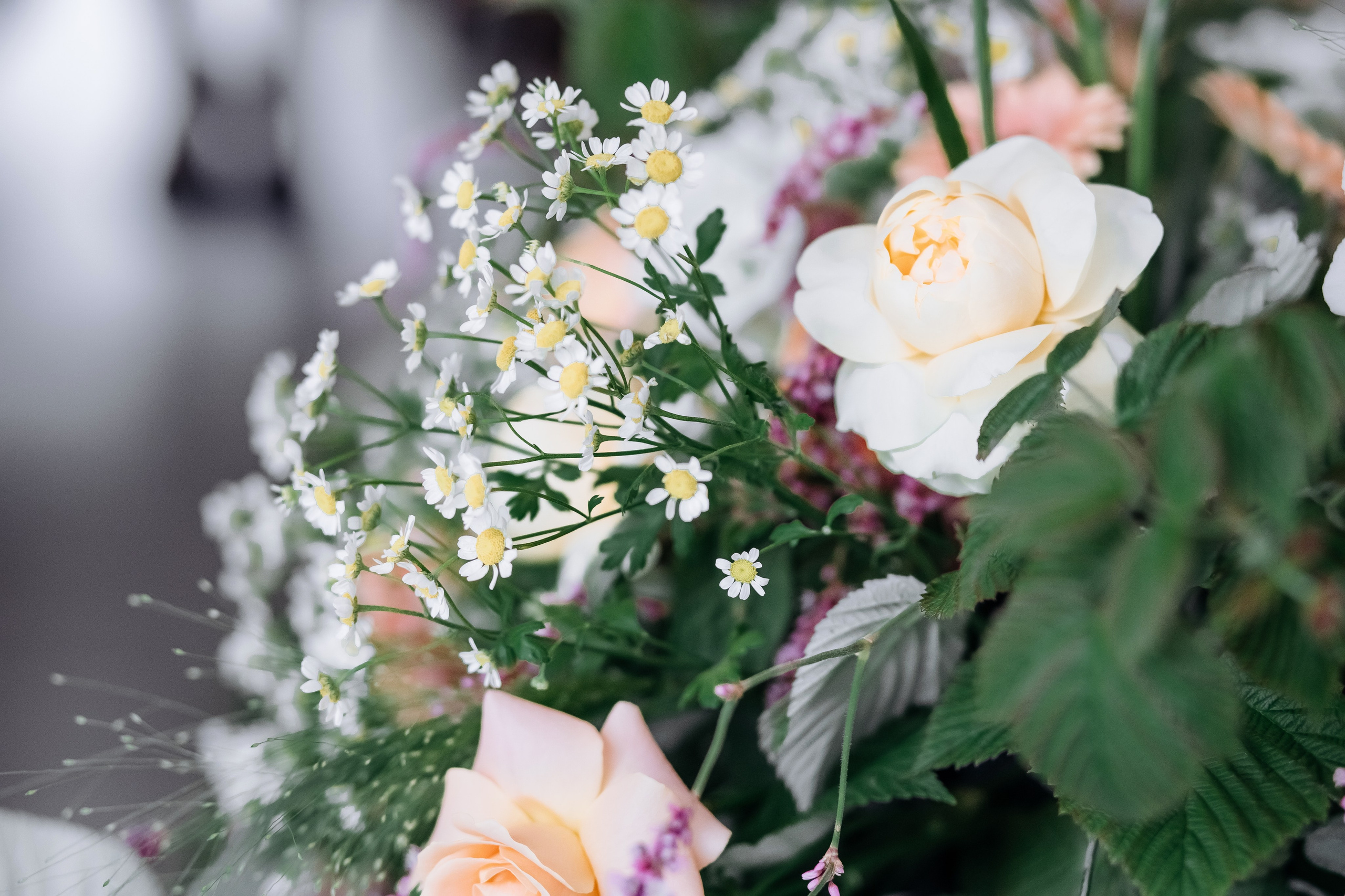 Николай и София. СВАДЕБНЫЙ ФОТОГРАФ МОСКВА