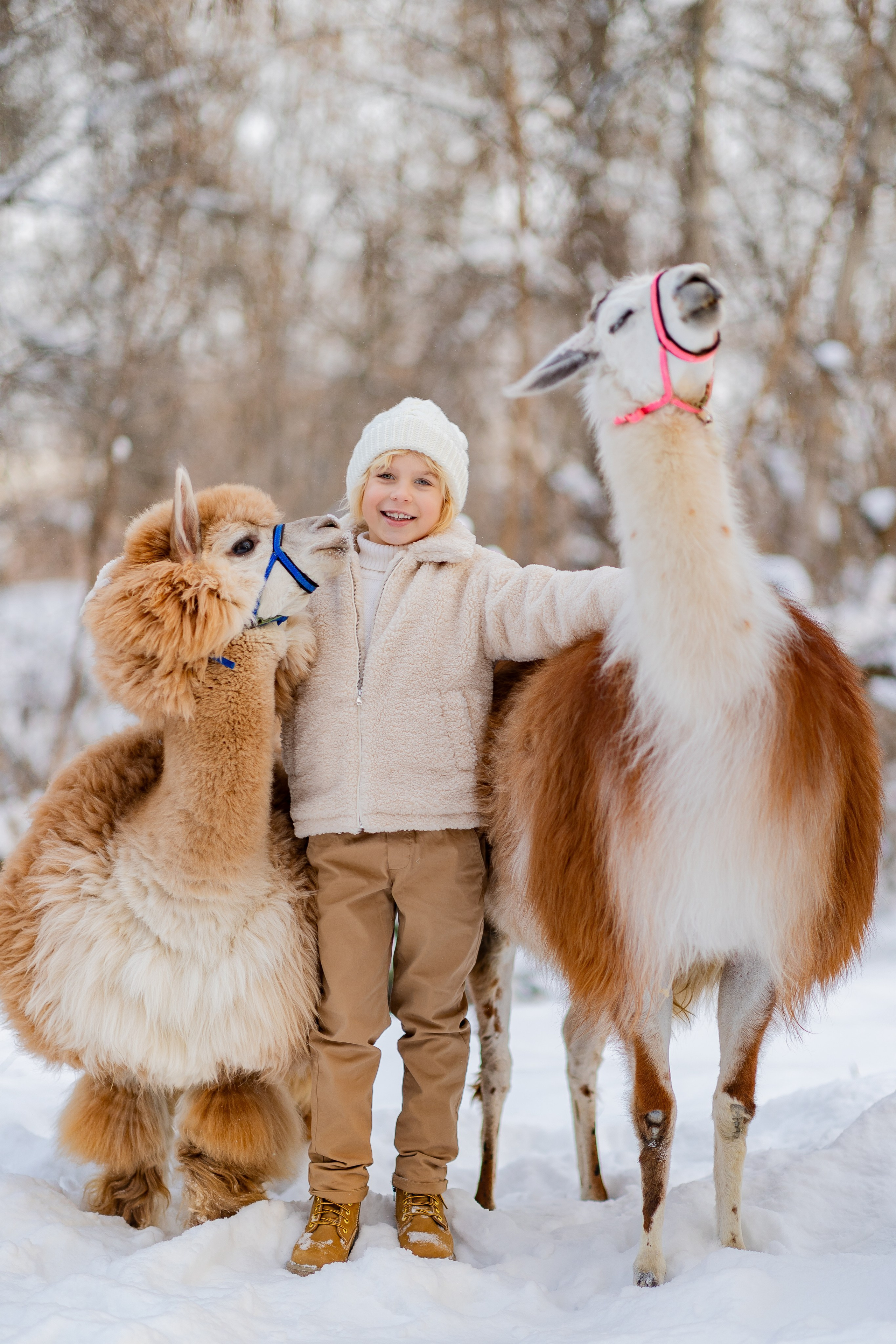 Портфолио. Фото и видео Москва, Московский. Свадебный фотограф, видеограф, фотосессии, видеосъемка