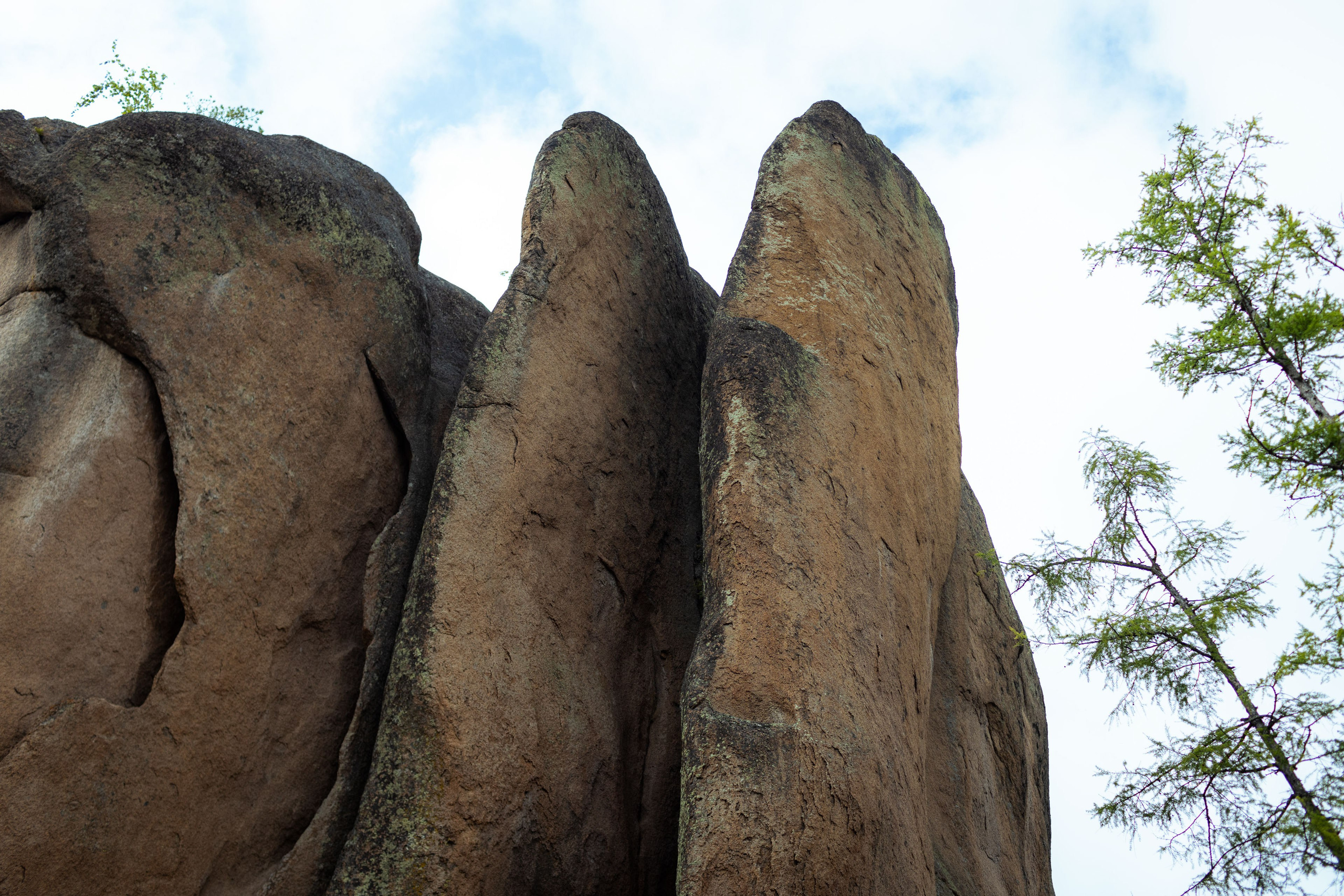 Красноярск (осень 2023). Фотограф Виноградов Константин