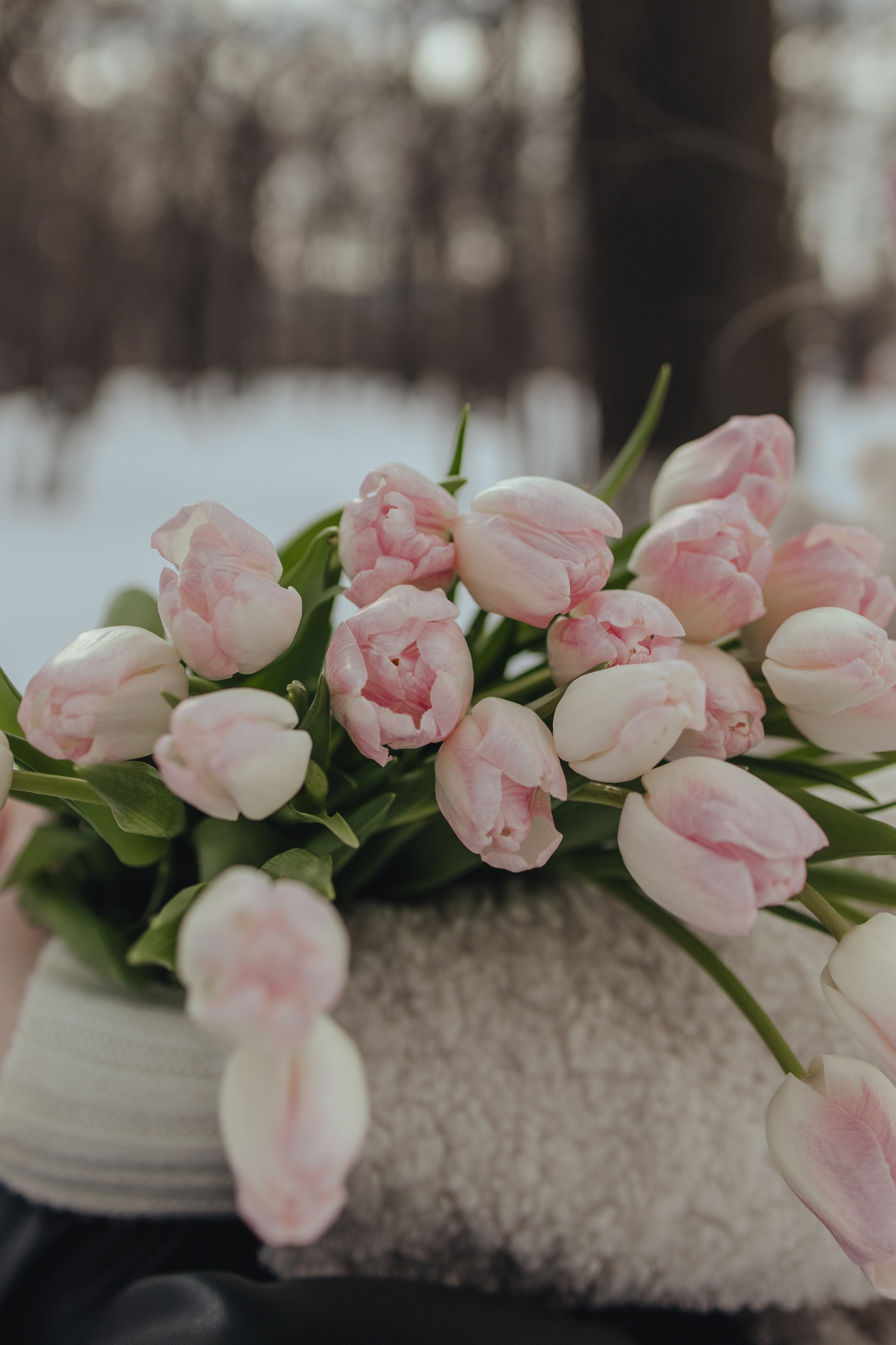 Эмма. Прогулка в снежном парке. Фотограф Ксения Железникова