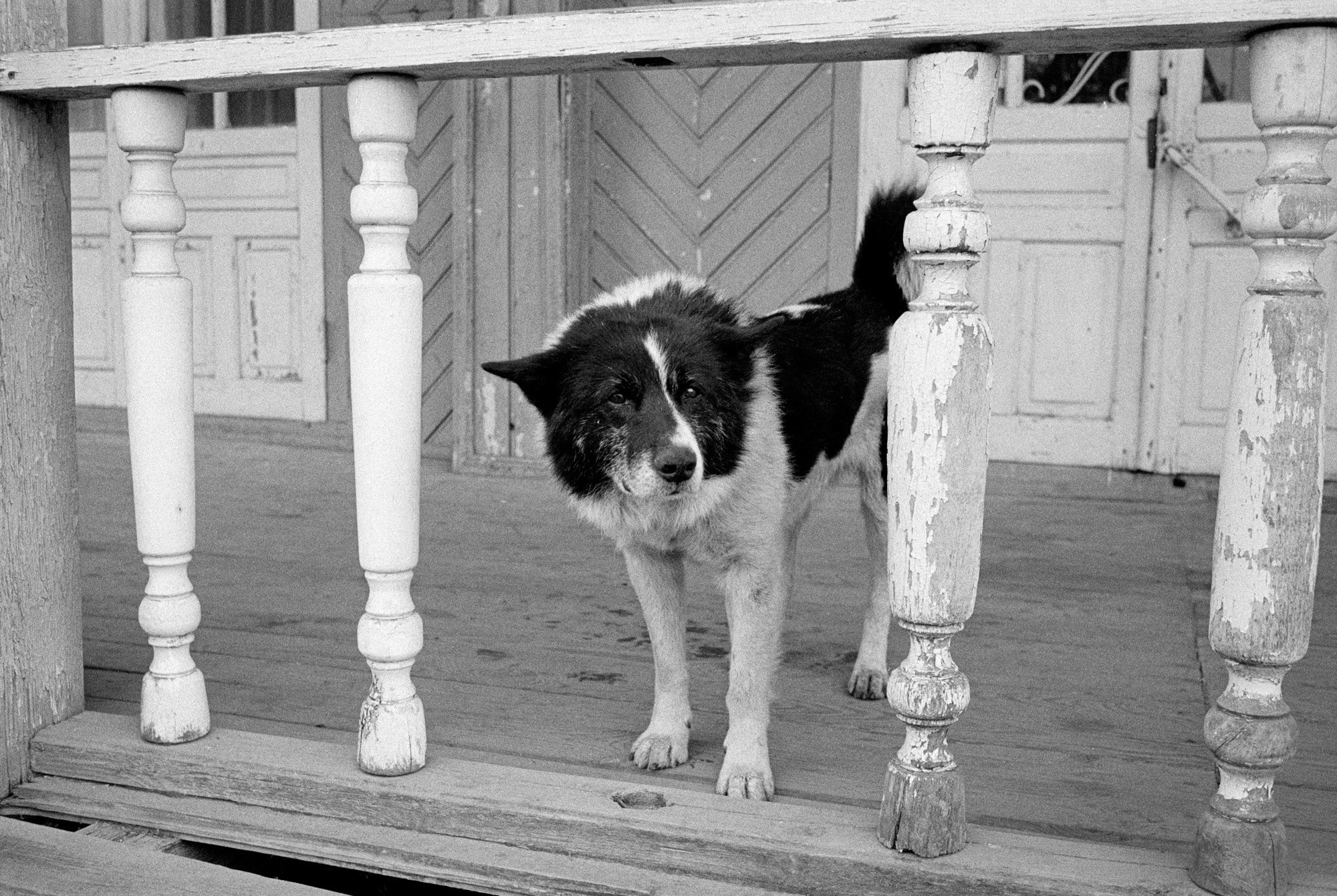 Кострома Blues. Документальный фотограф Алексей Мякишев, Москва