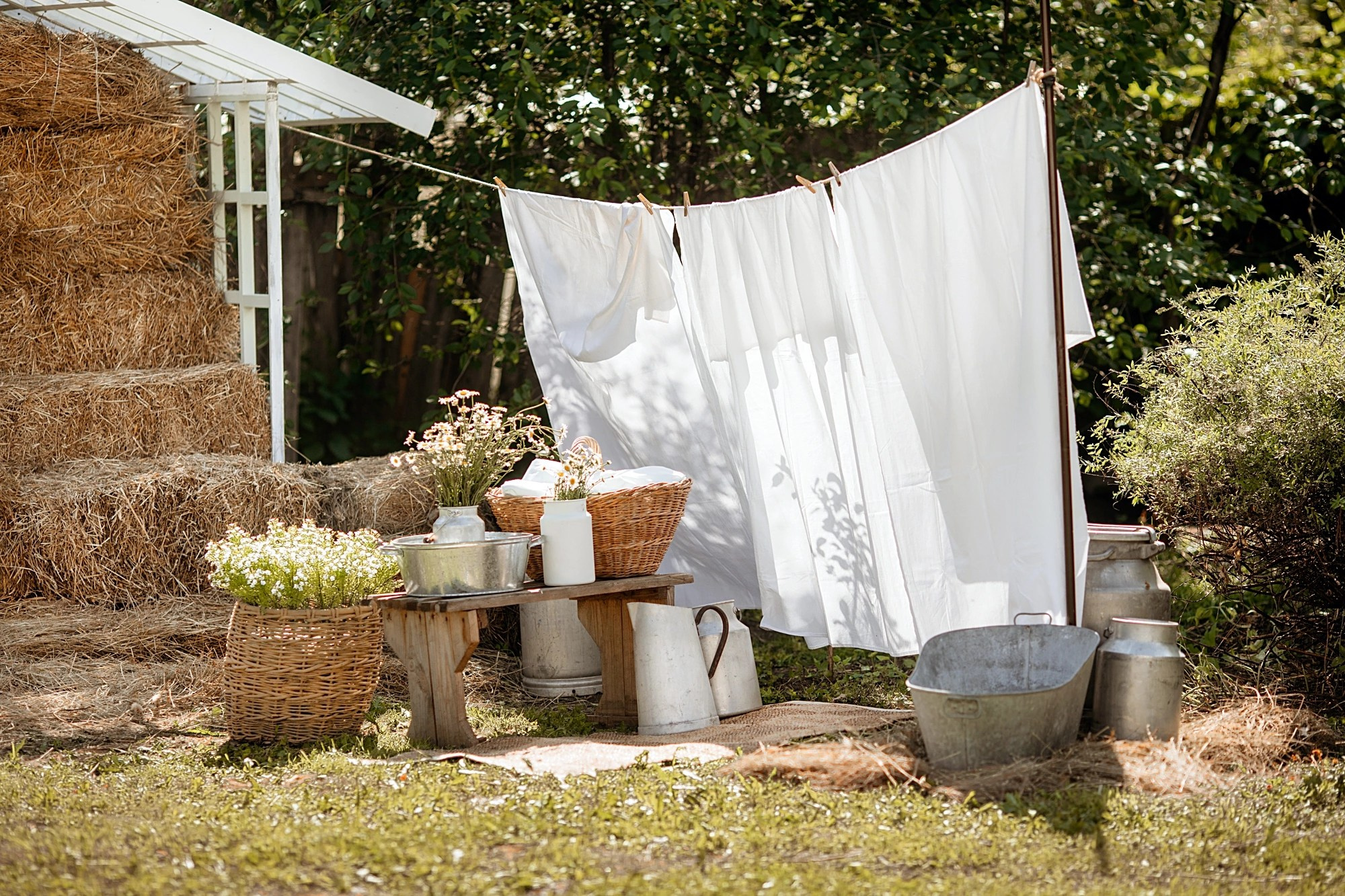 Все фотостудии в Твери. Свадебный и семейный фотограф в Твери и Тверской области