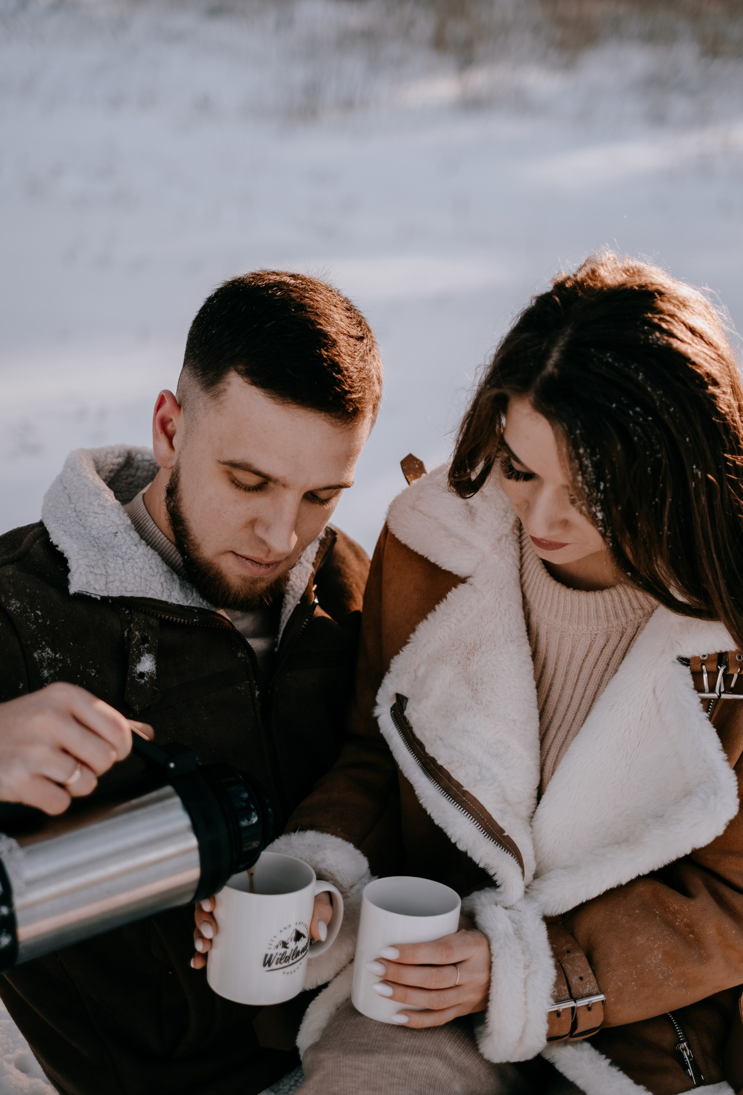 Звенит январская вьюга!. Photographer Victoria Slavnova