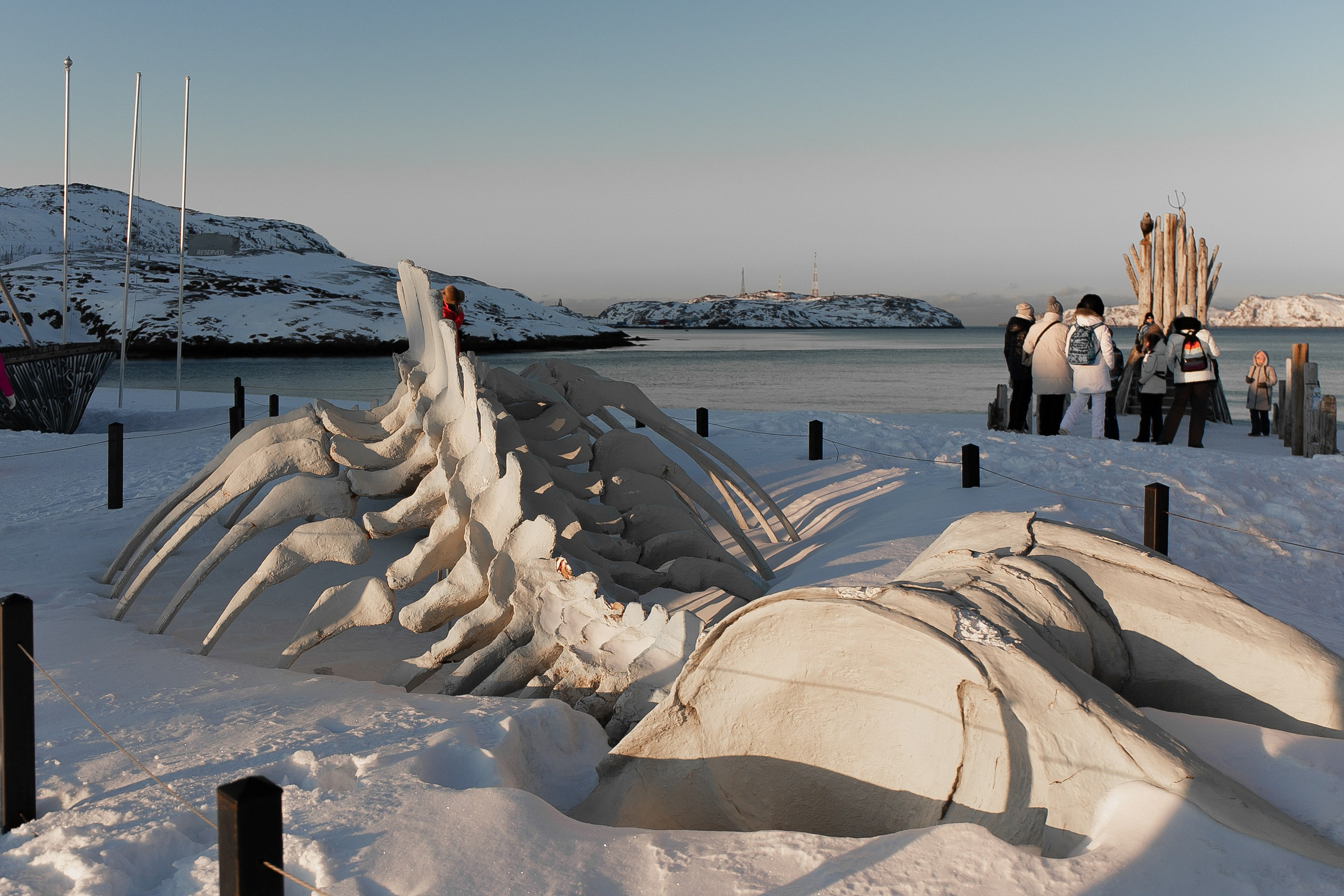 Мурманск+Териберка, Февраль 2023. Фототерапевт Ева Бунеева