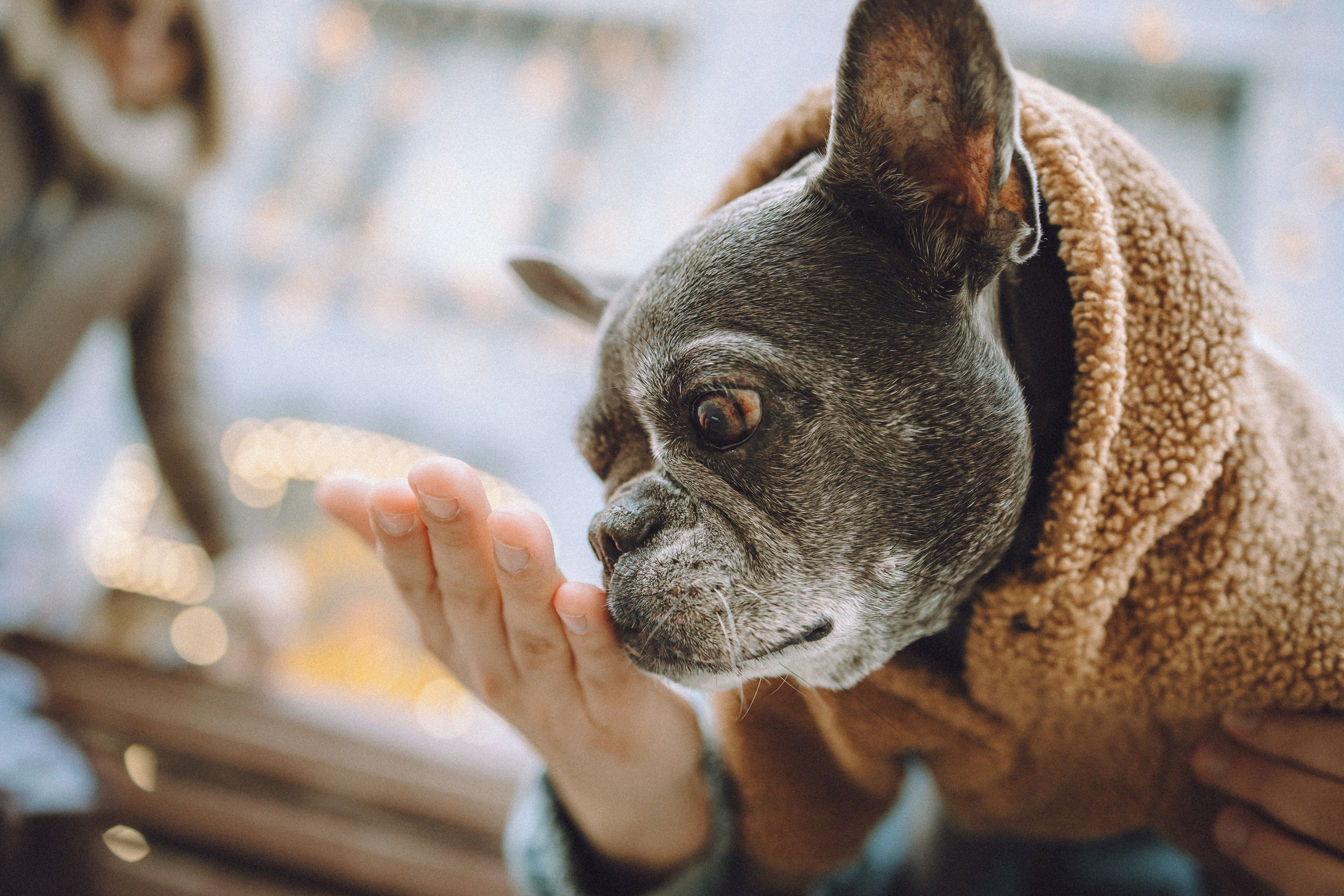 Юля, Вова и Моня