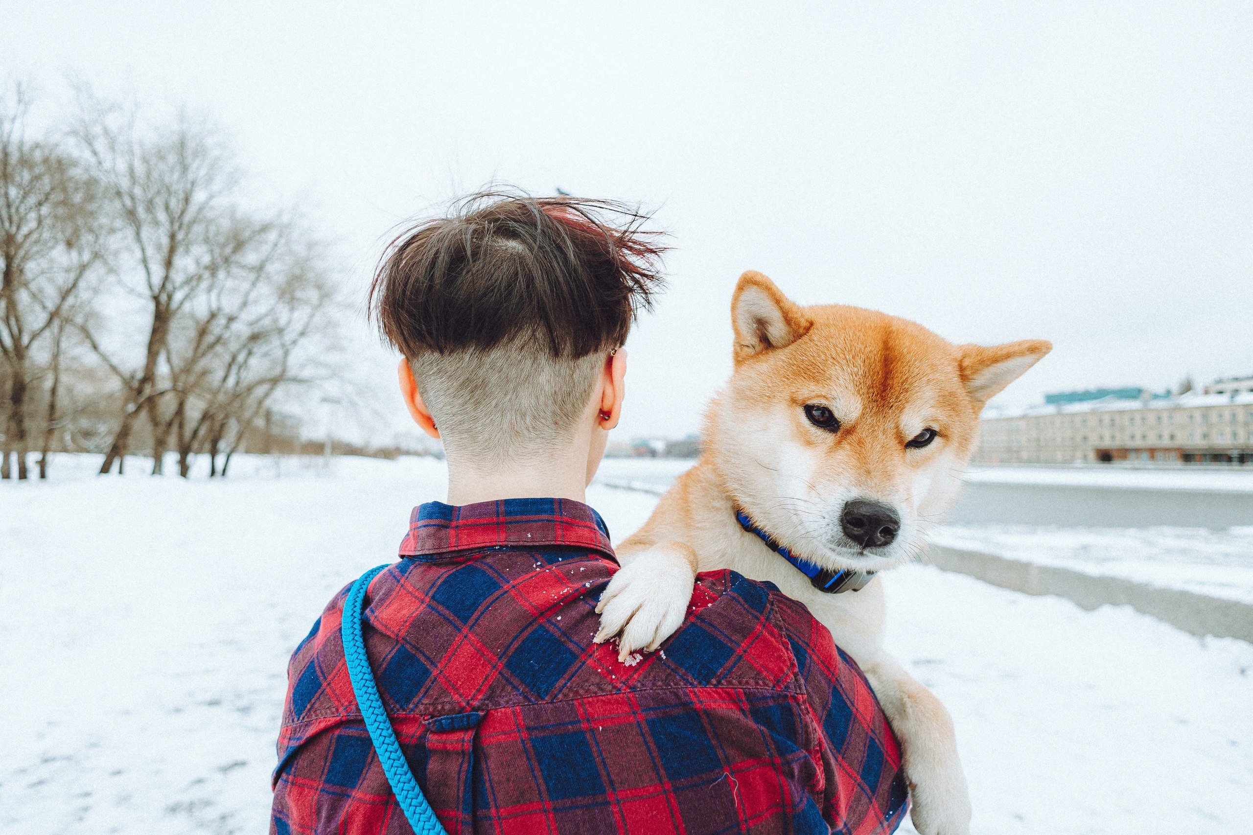 Настя и Ронин