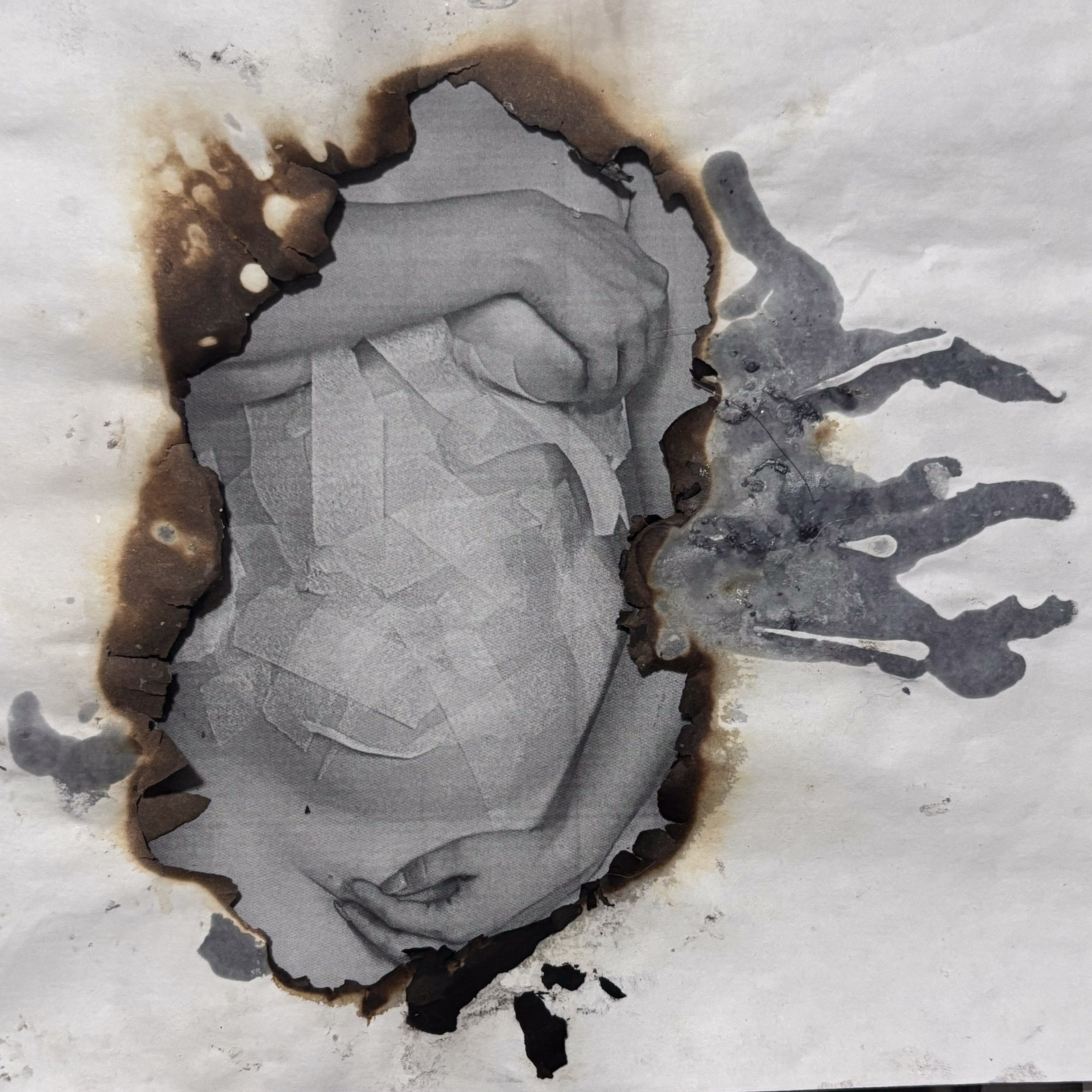 Укрытие. Катерина Эделева