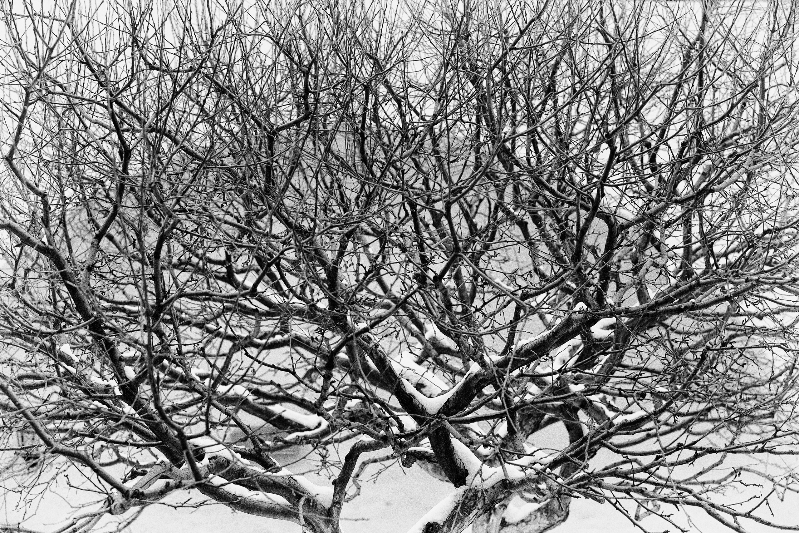 Фотограф Ольга Дунаева