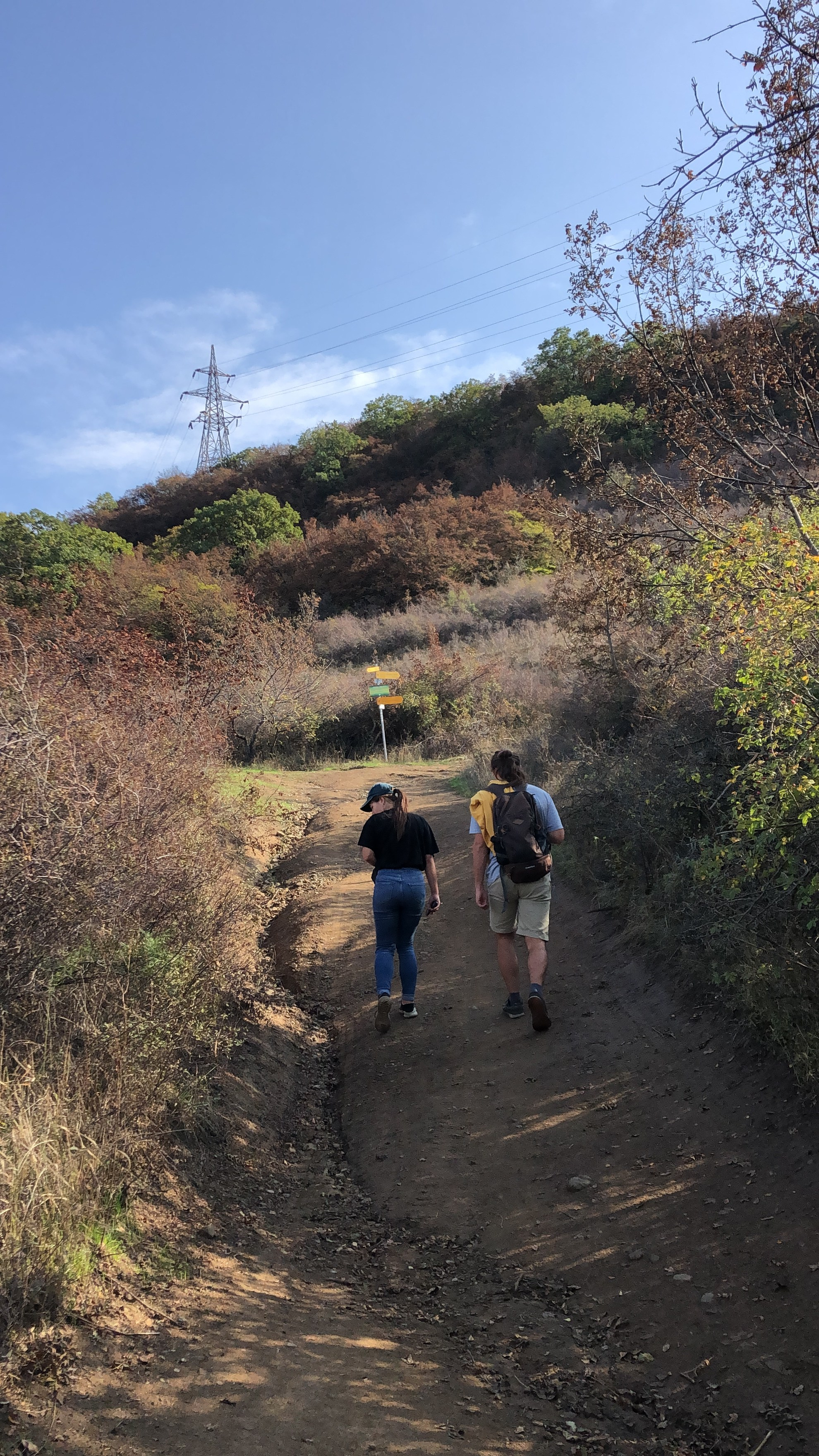 Черепашье озеро. Anita_photo