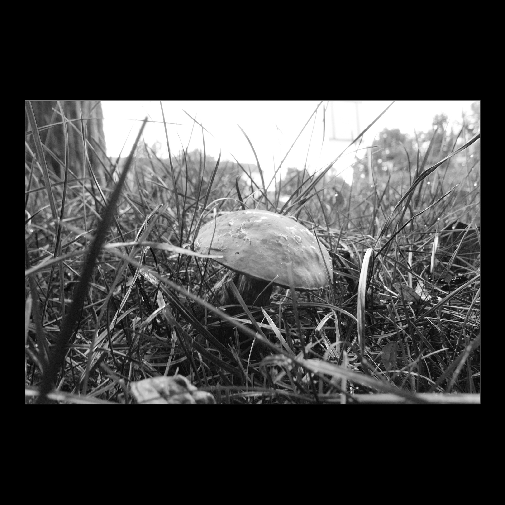 Маленькое путешествие по Германии. Московский фотограф Дмитрий Потапов