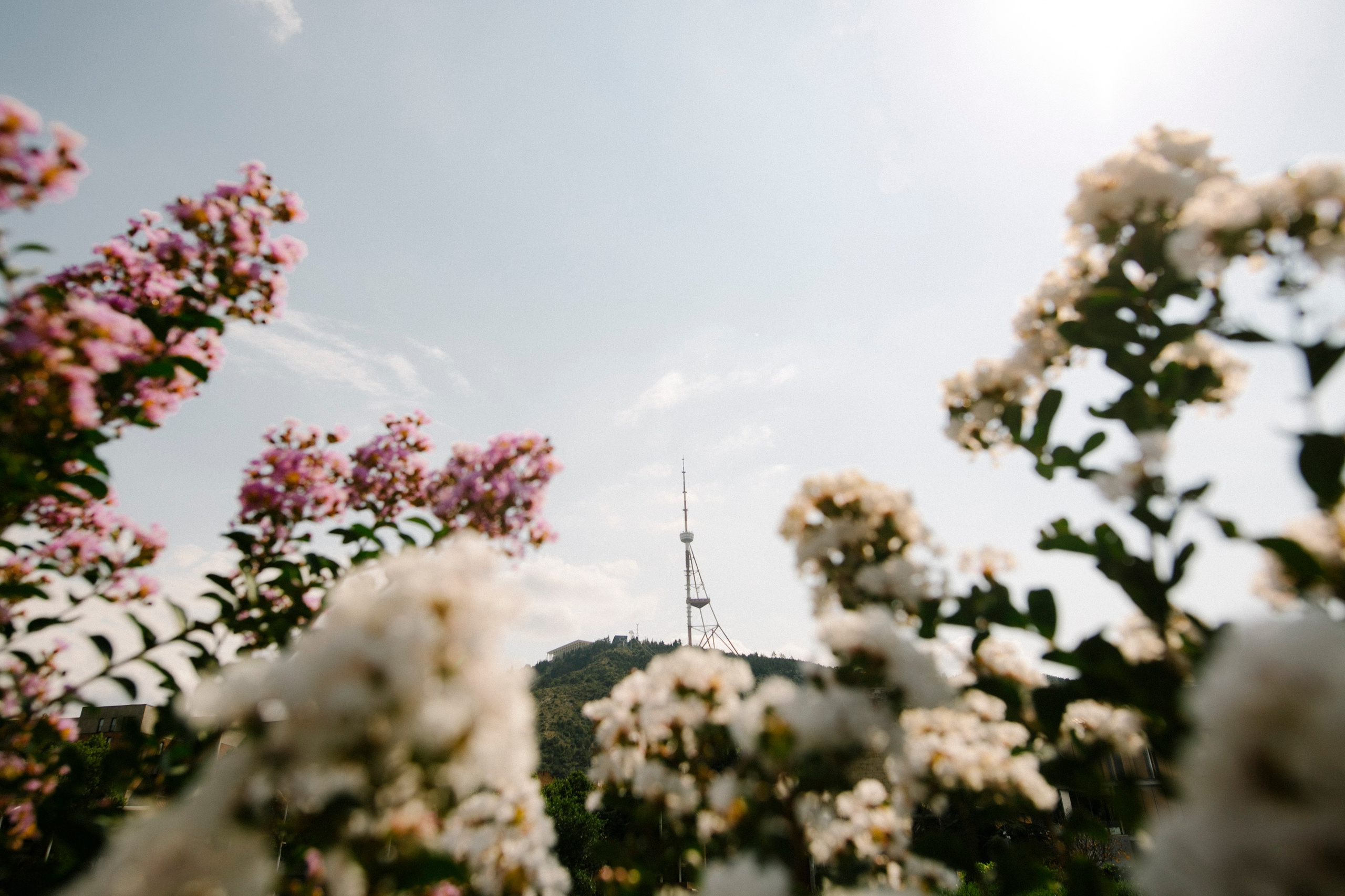 Antoine&Gunel. Свадебный фотограф Грузия Alex and Polly