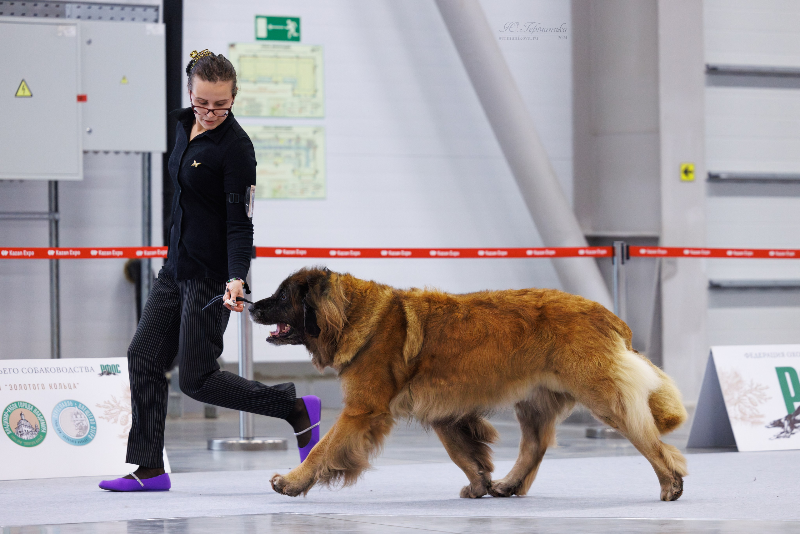 Казань Зилант 30-01.12 2024. Фотограф-анималист Юлия Германика