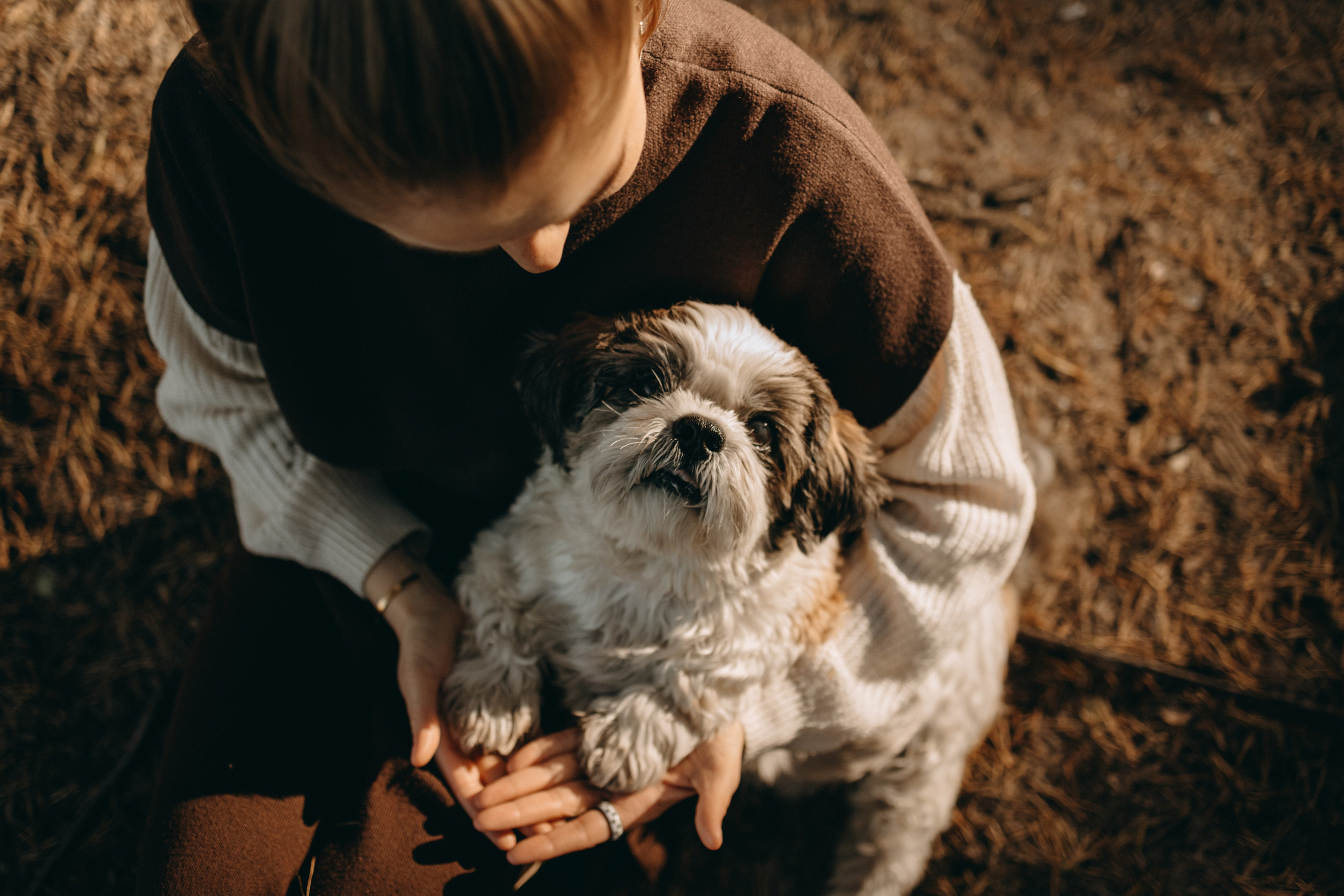Настя и Франт. Фотограф — Анималист | Санкт-Петербург