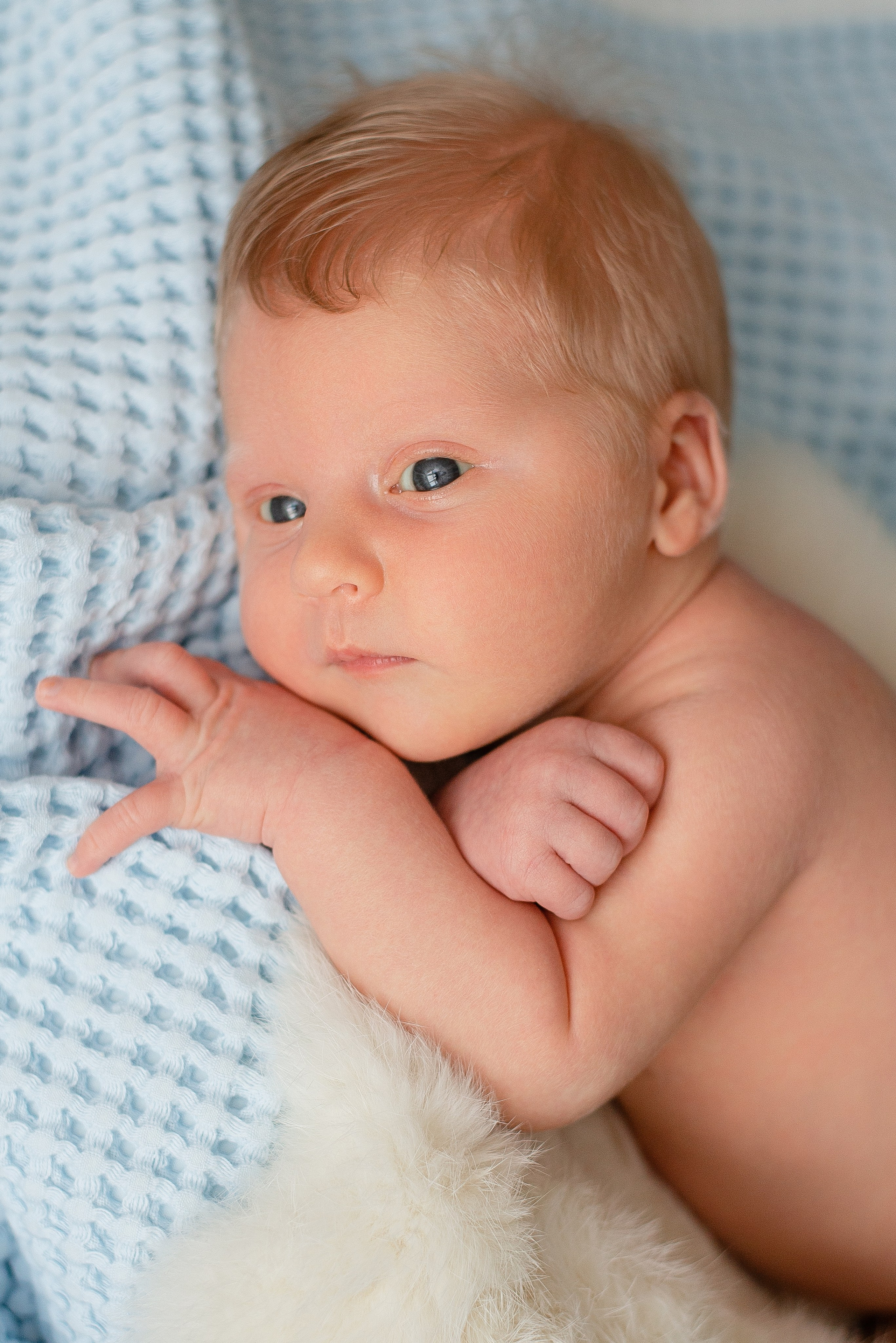 Александр. Семейный и детский фотограф Иваново Ксения Азаренкова