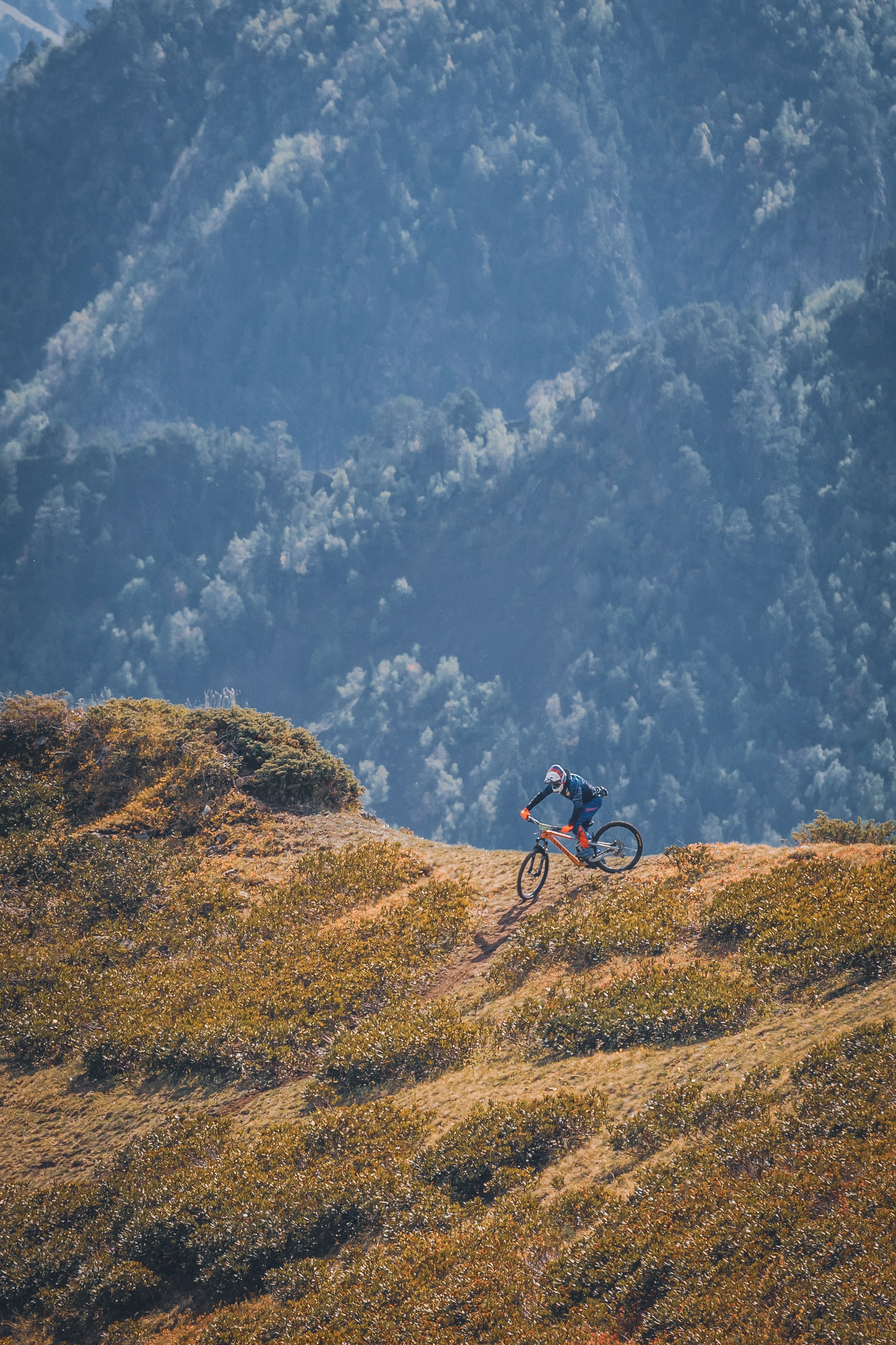 Велосипед. Репортажный фотограф в Краснодаре Рындин Дмитрий